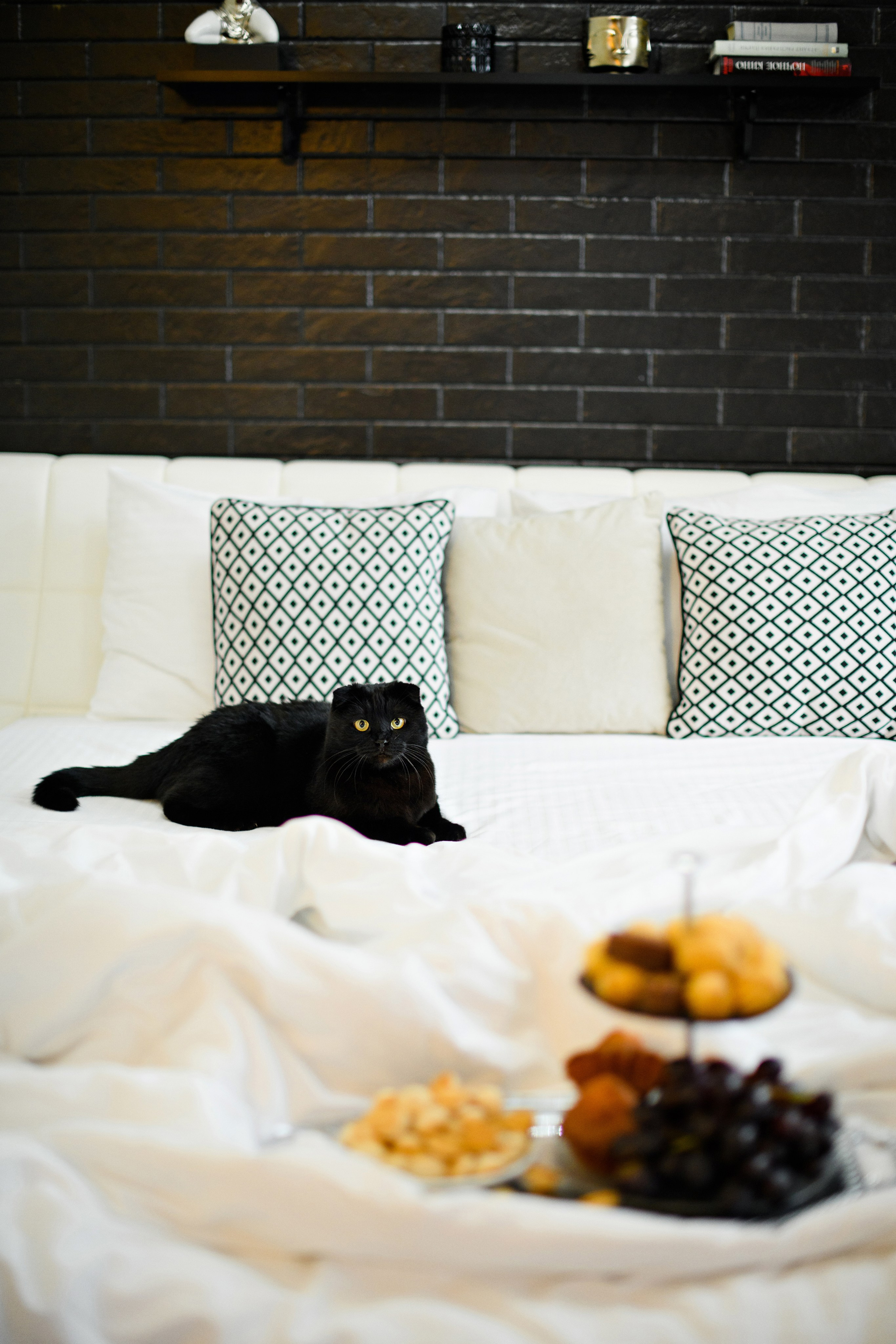 Апартаменты Agent Flat. Свадебный фотограф в Санкт-Петербурге София Шубик