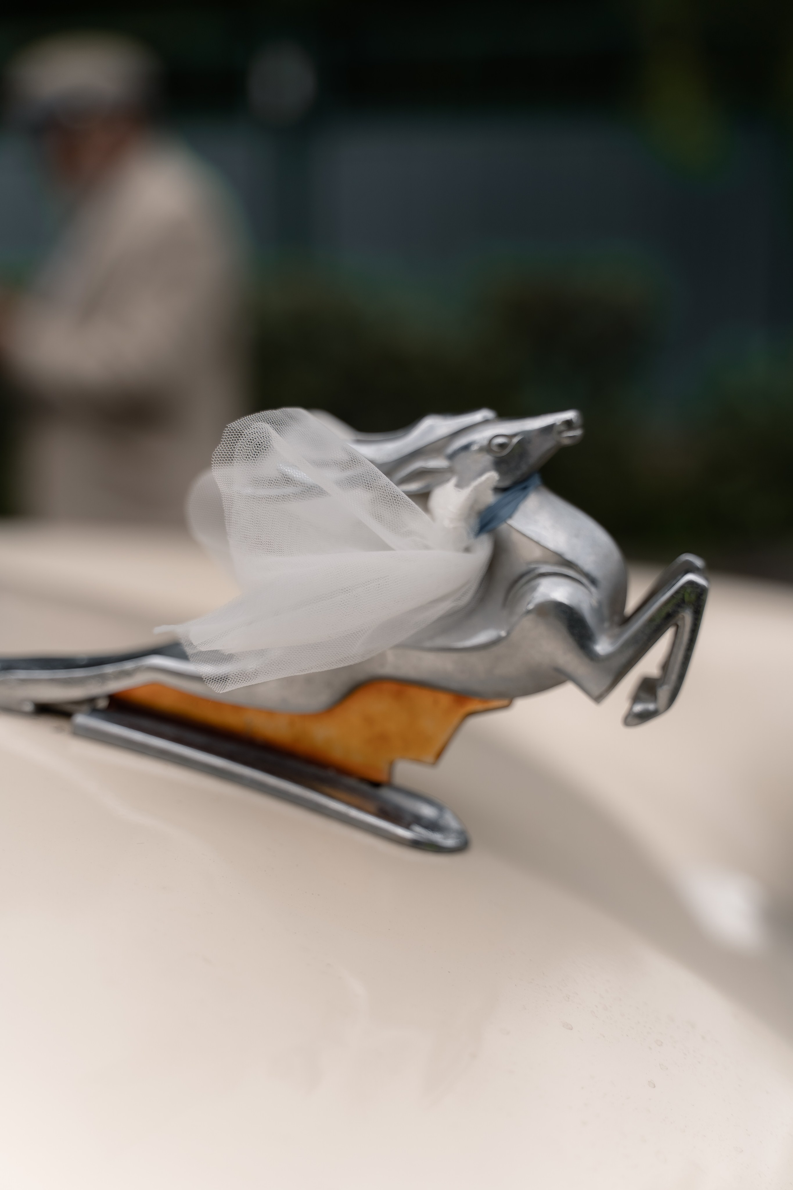 Рустам и Настя. Свадебный и семейный фотограф в Новосибирске Наталья Зорина