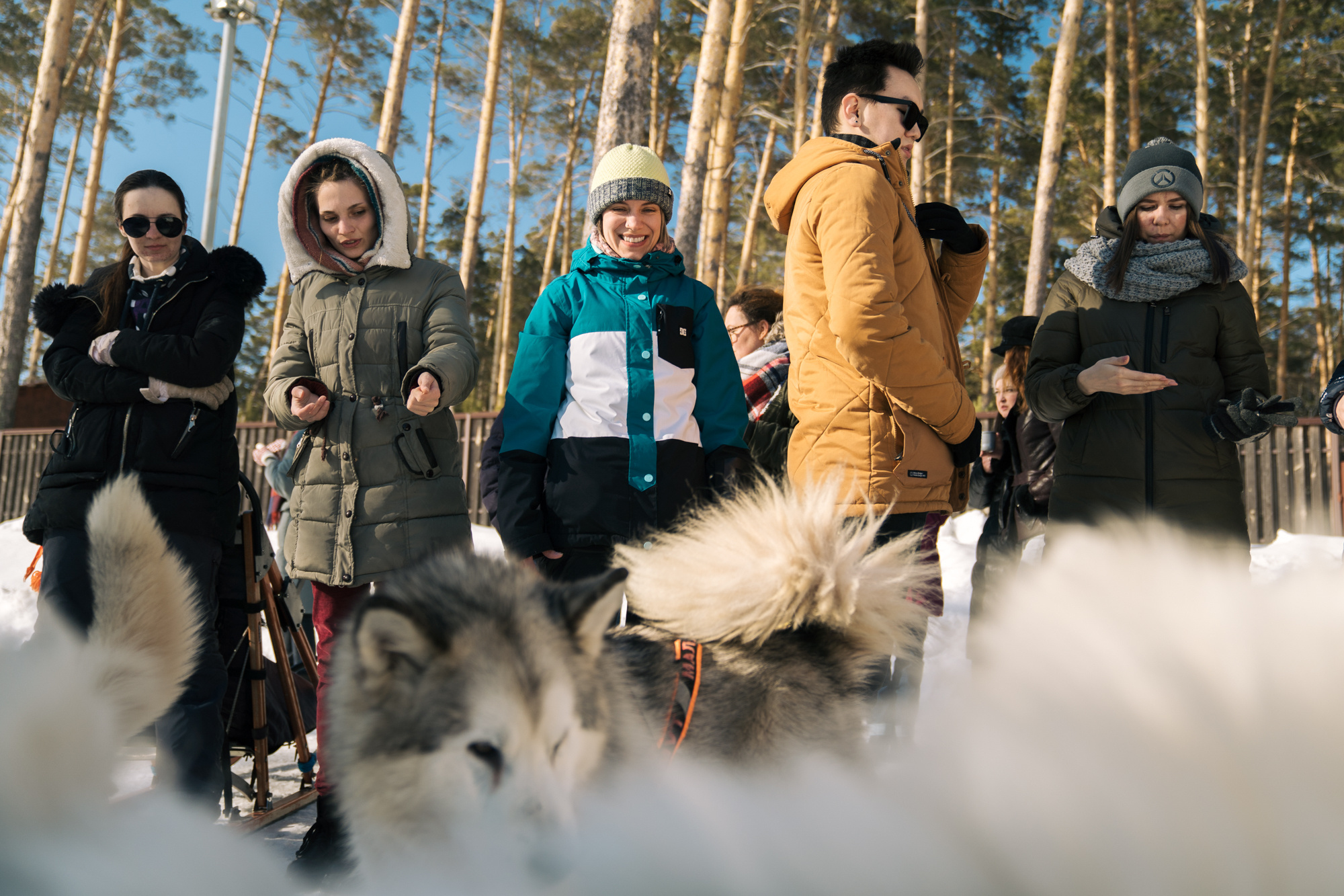 Alawar. Репортажный фотограф Света Асадчая