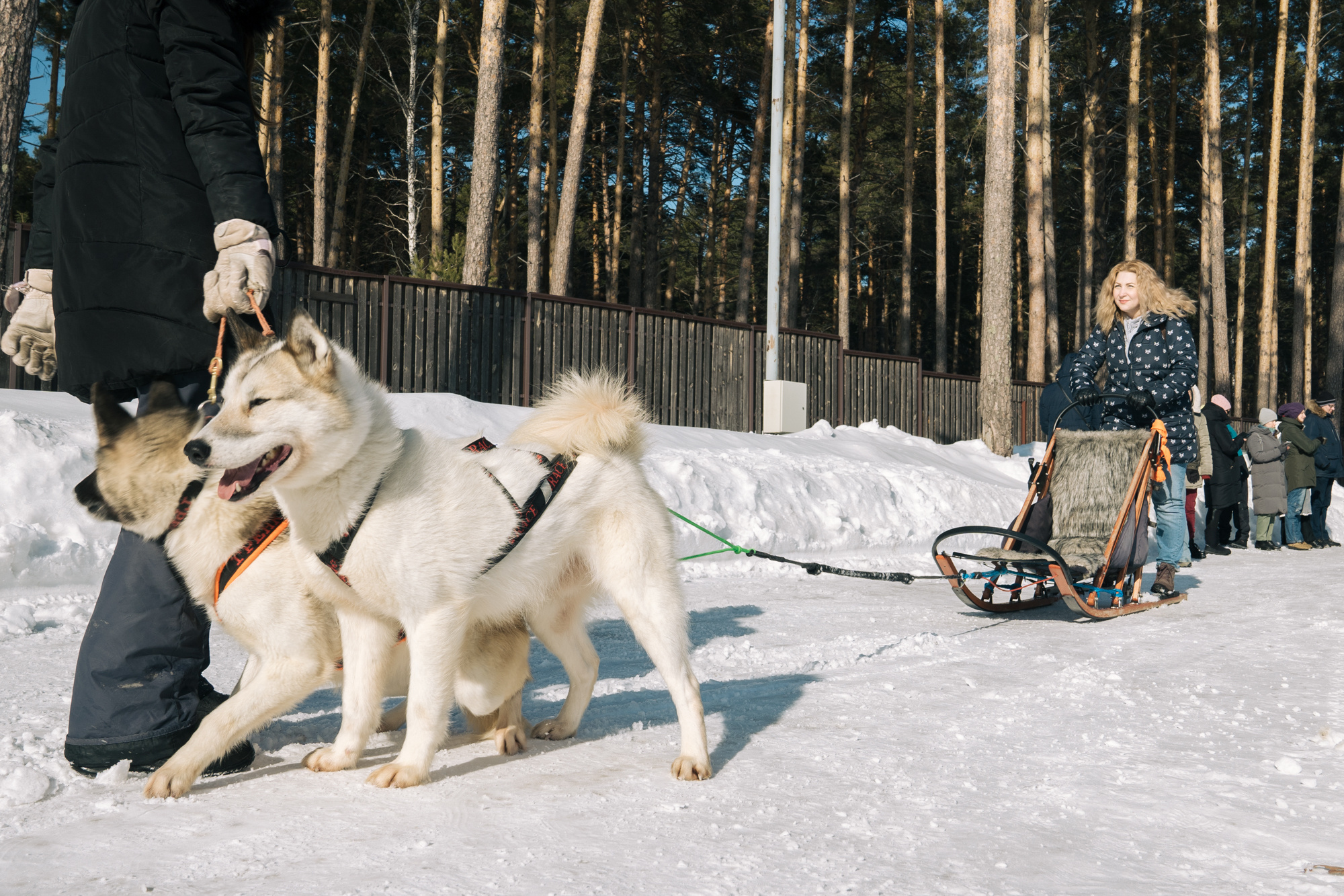 Alawar. Репортажный фотограф Света Асадчая