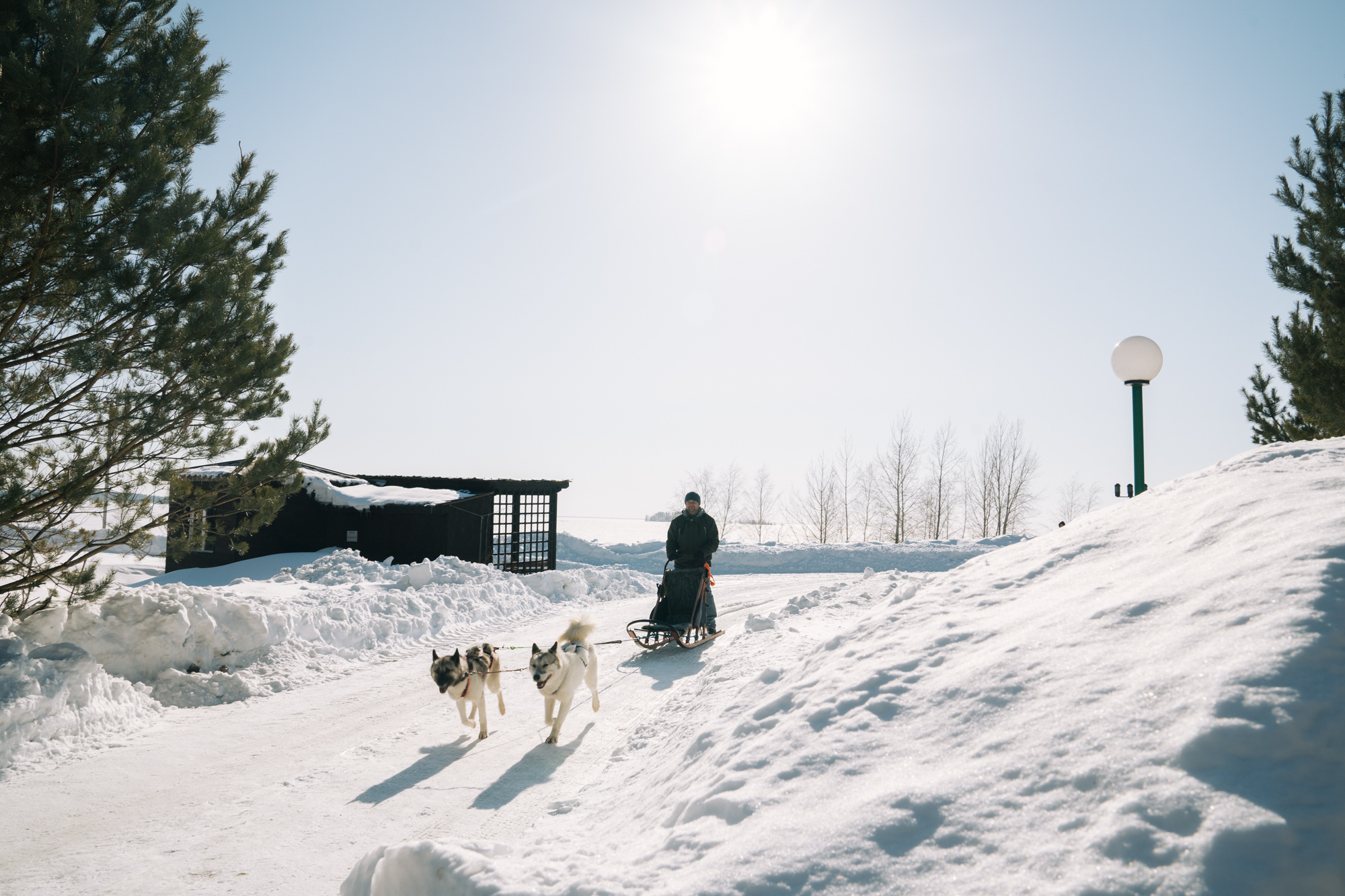 Alawar. Репортажный фотограф Света Асадчая
