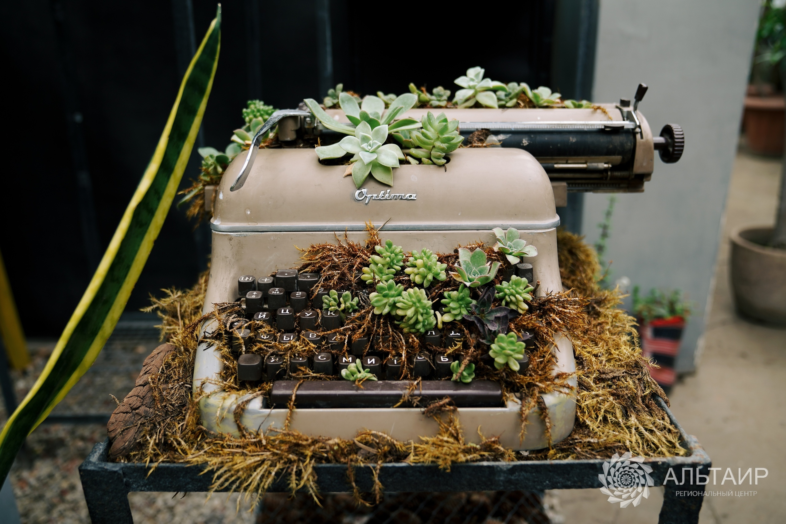 21.02 | Экскурсия в Ботанический сад («Ландшафтный дизайн»). Репортажный фотограф Света Асадчая
