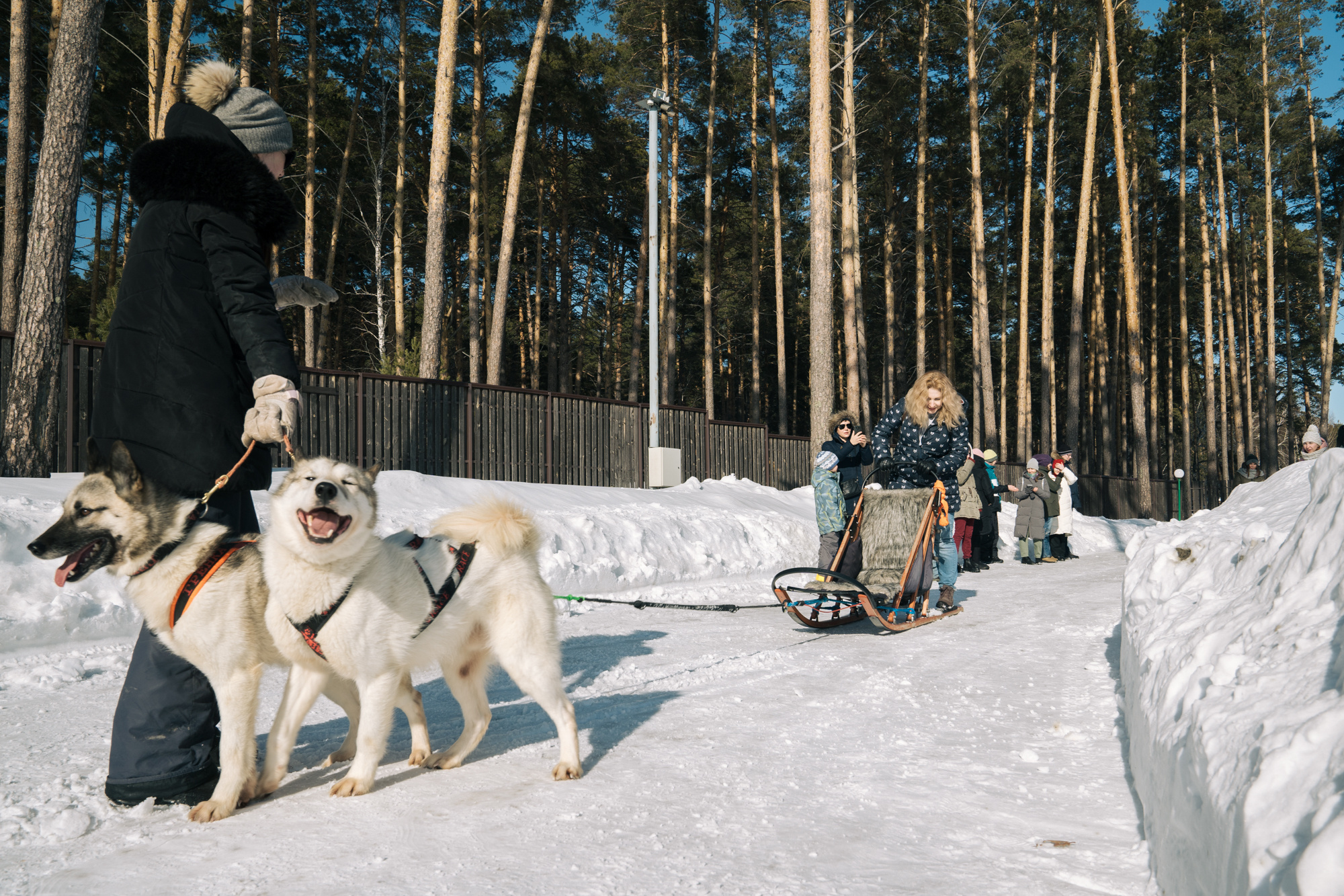 Alawar. Репортажный фотограф Света Асадчая