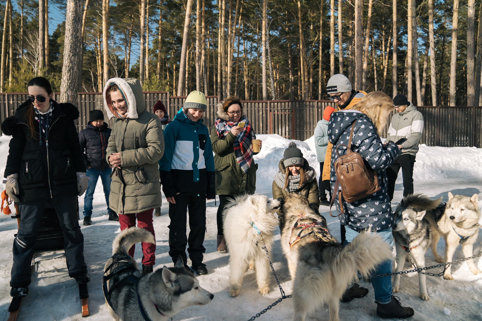 Alawar. Репортажный фотограф Света Асадчая