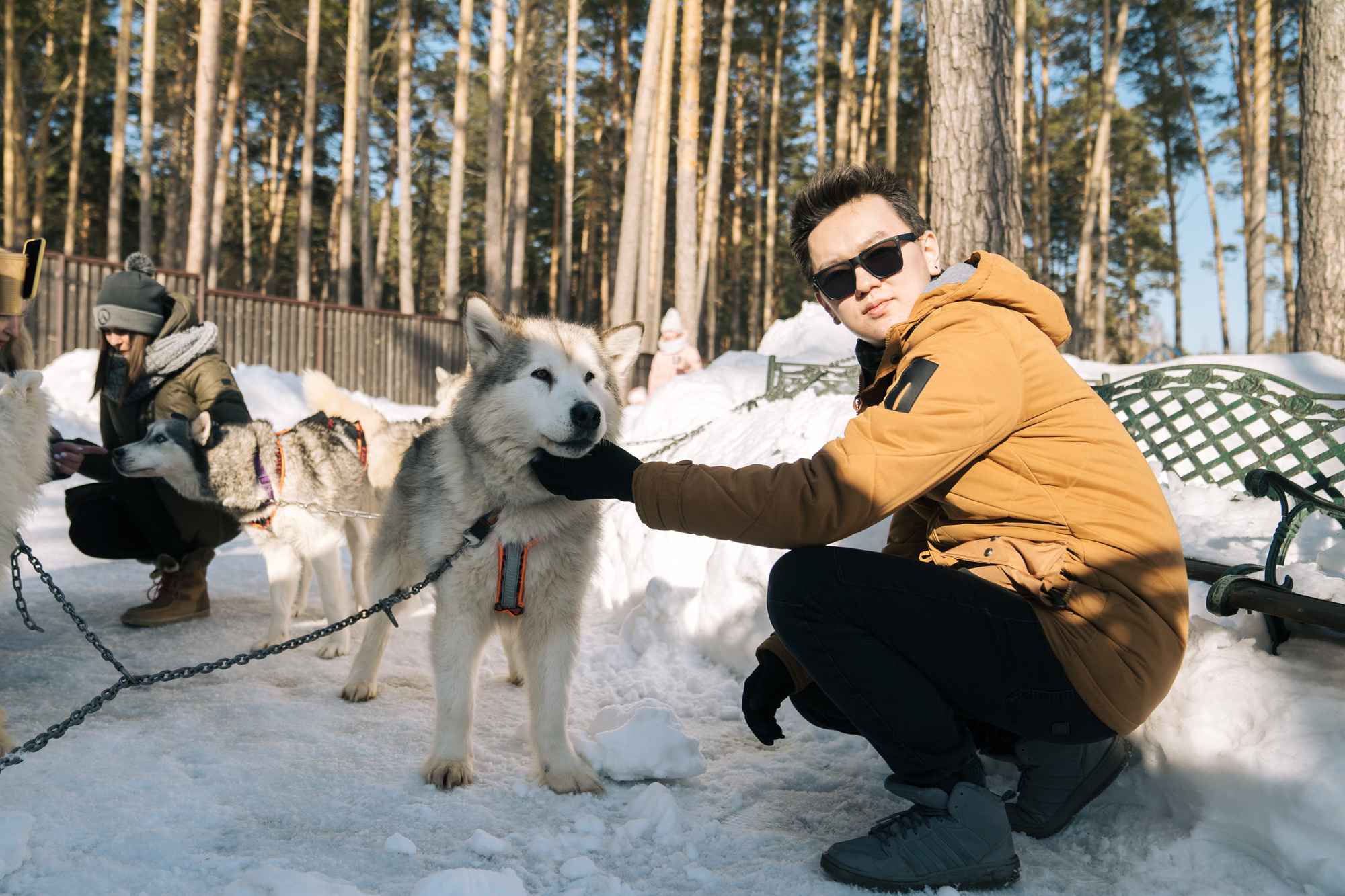 Alawar. Репортажный фотограф Света Асадчая