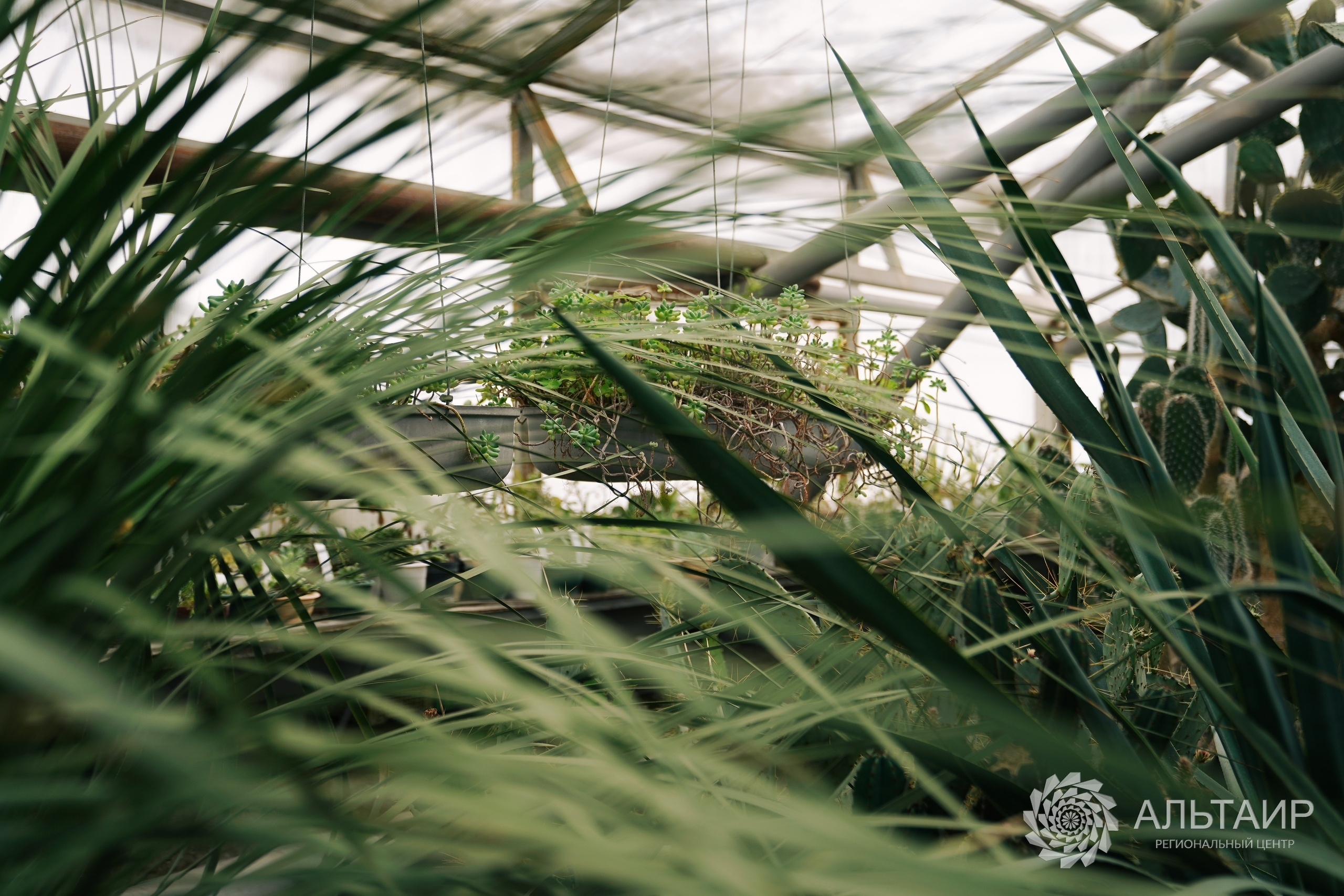21.02 | Экскурсия в Ботанический сад («Ландшафтный дизайн»). Репортажный фотограф Света Асадчая