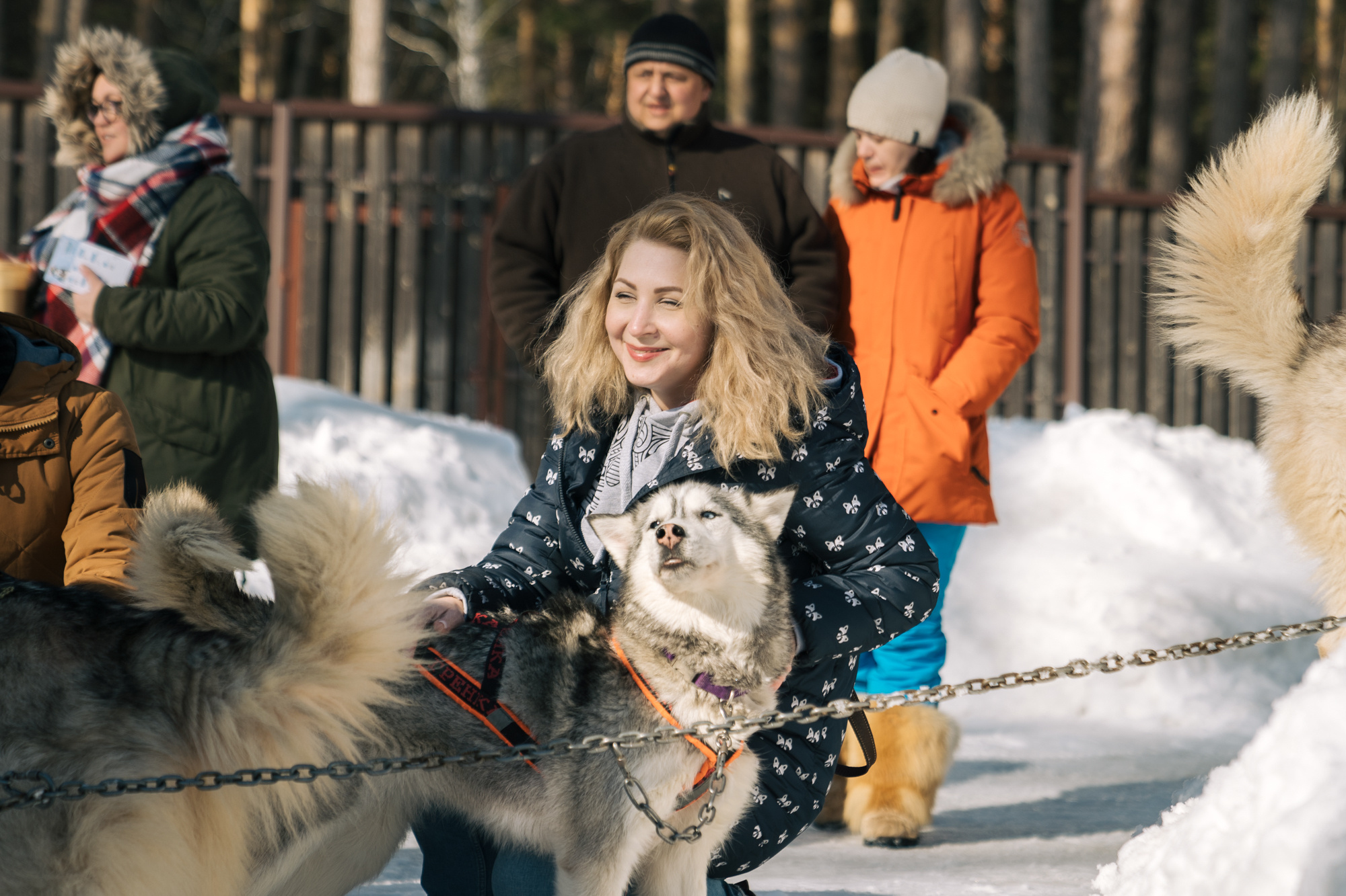 Alawar. Репортажный фотограф Света Асадчая