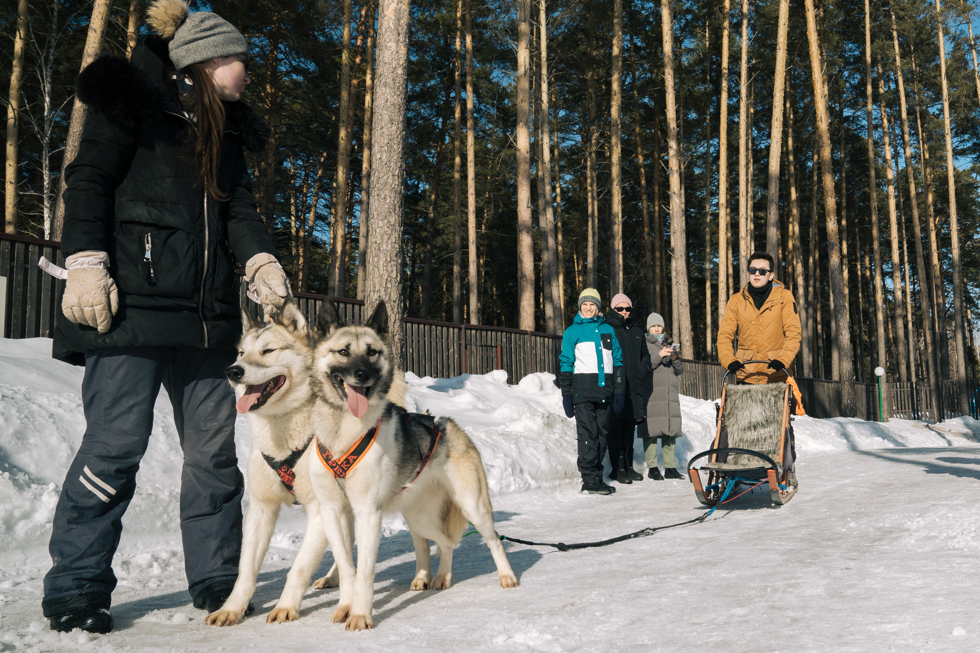 Alawar. Репортажный фотограф Света Асадчая