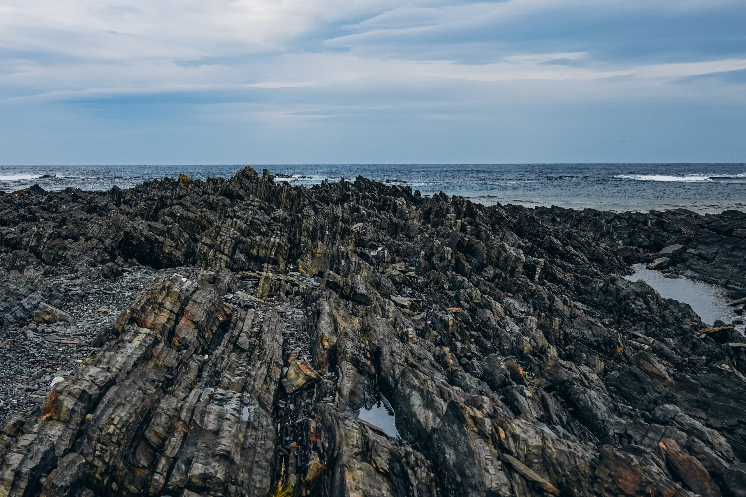СЕВЕР. Event фотограф Степанова Александра