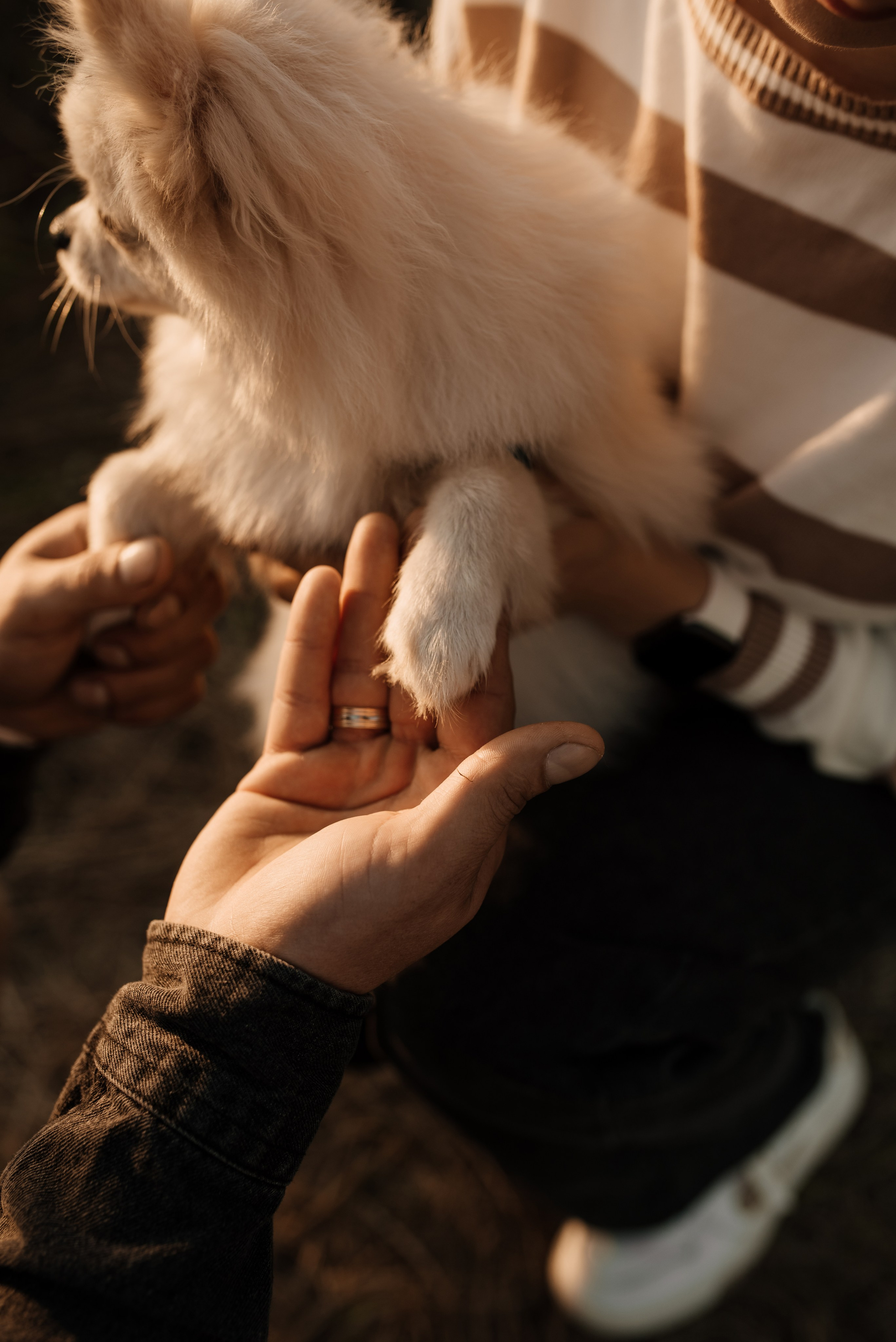 Наташа ♡ Женя. Фотограф Ольга Плеханова | Нижний Новгород, Москва