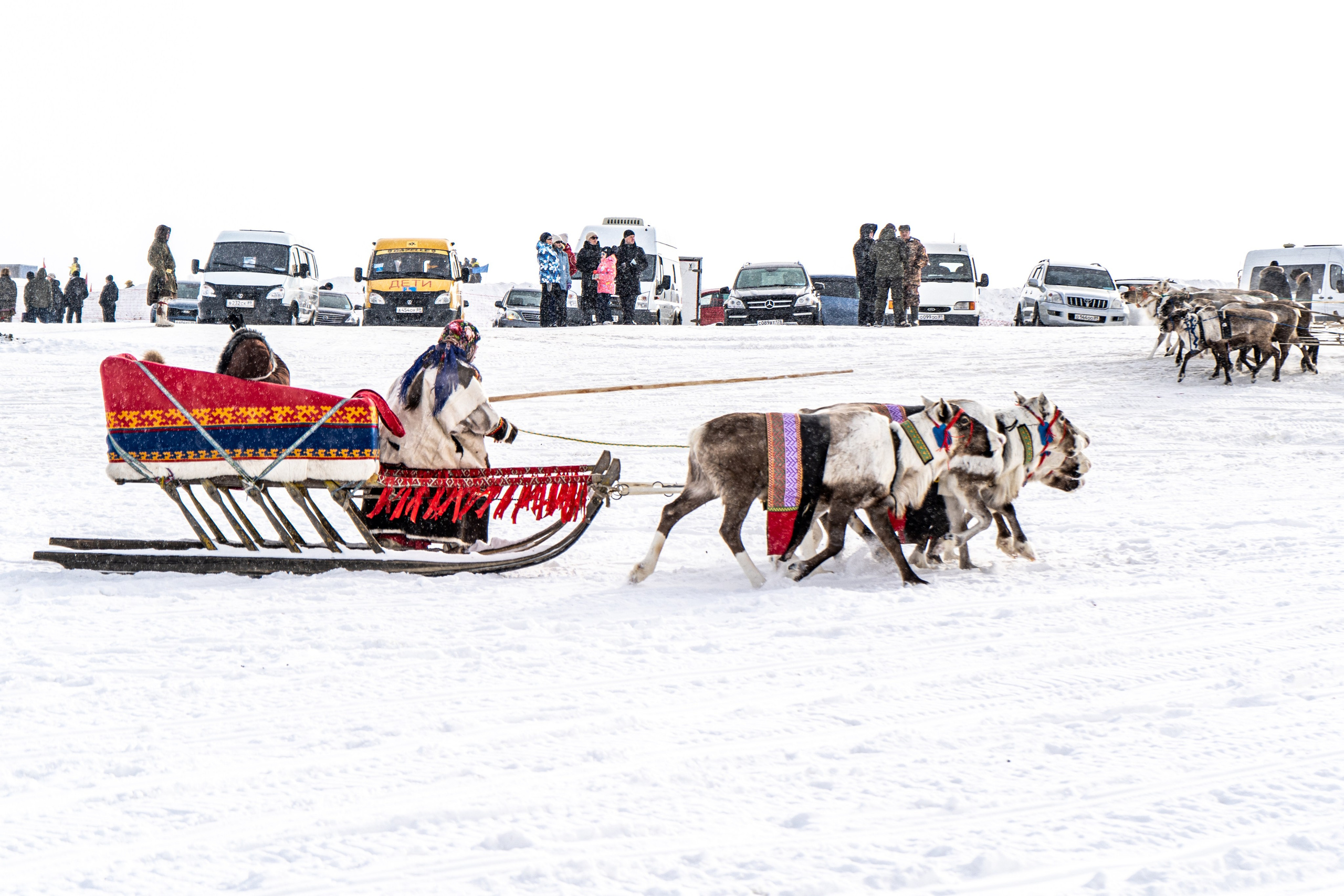 День Оленевода. Фотограф Екатерина Зорина