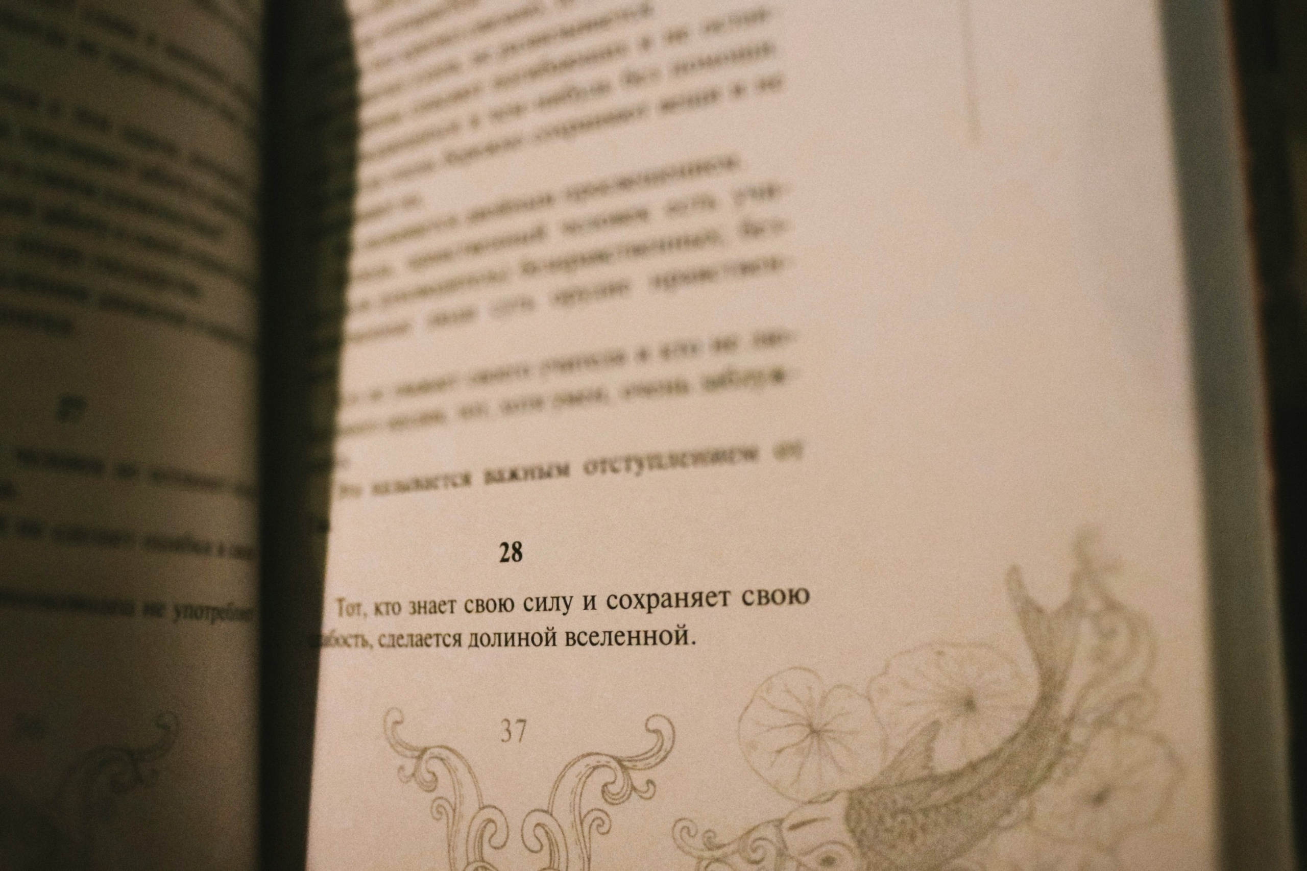 ЧАГУН-ФЕСТ. VITA · visual therapy arts