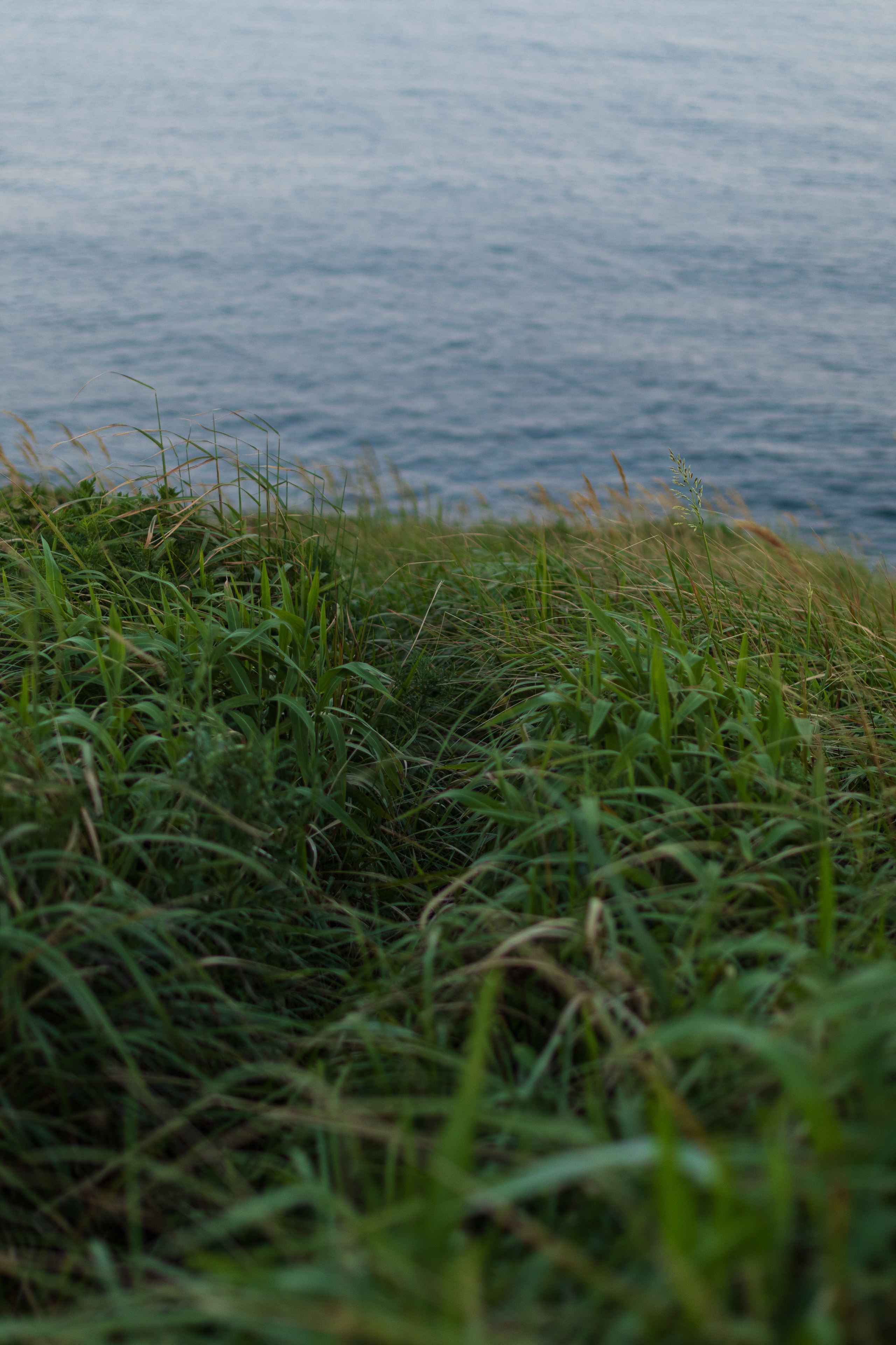 Летний вечер. Константин Кириченко