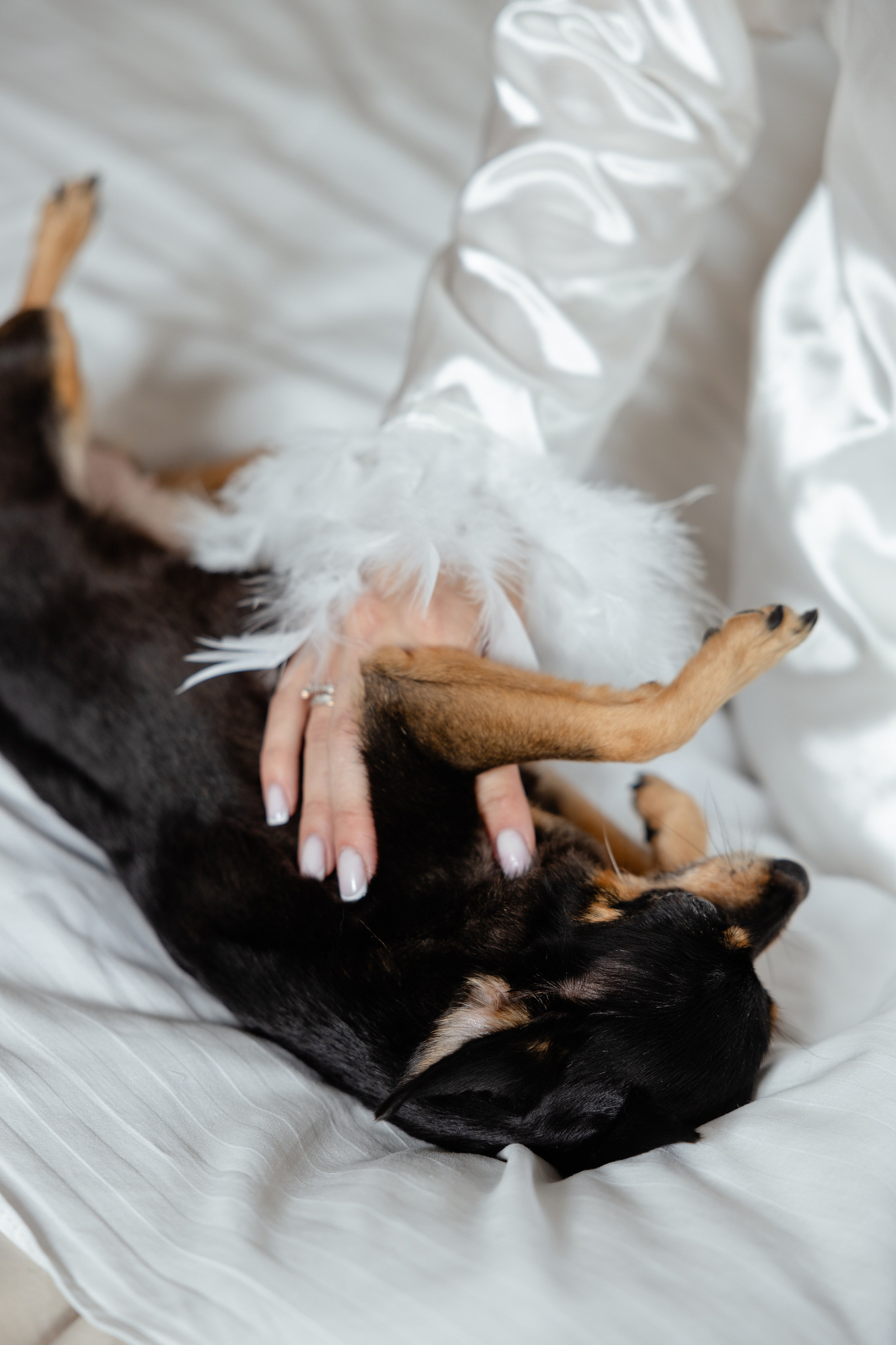 Свадьба | Женя + Ваня. Репортажный фотограф в Мурманской области