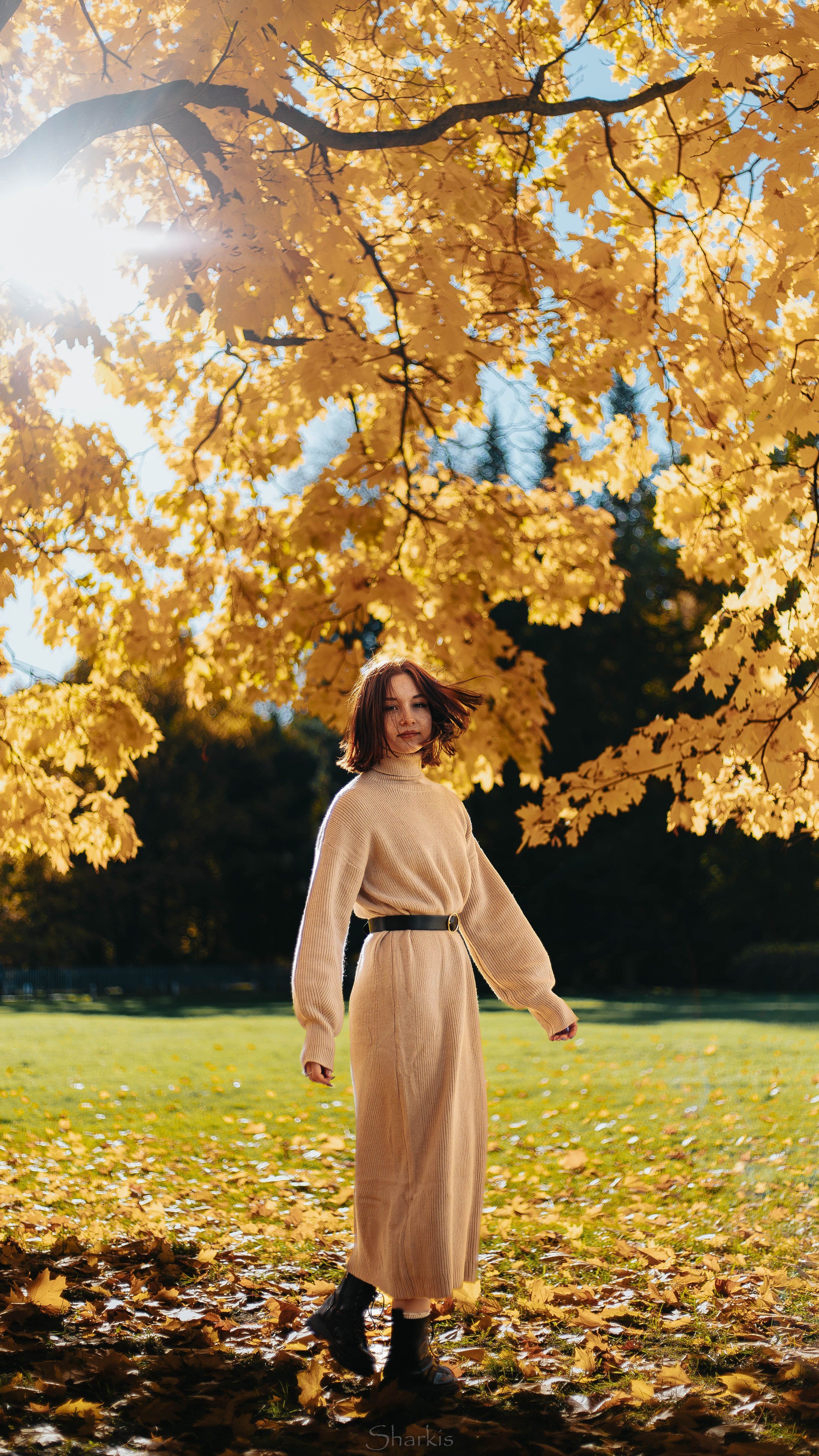 Света. Главная