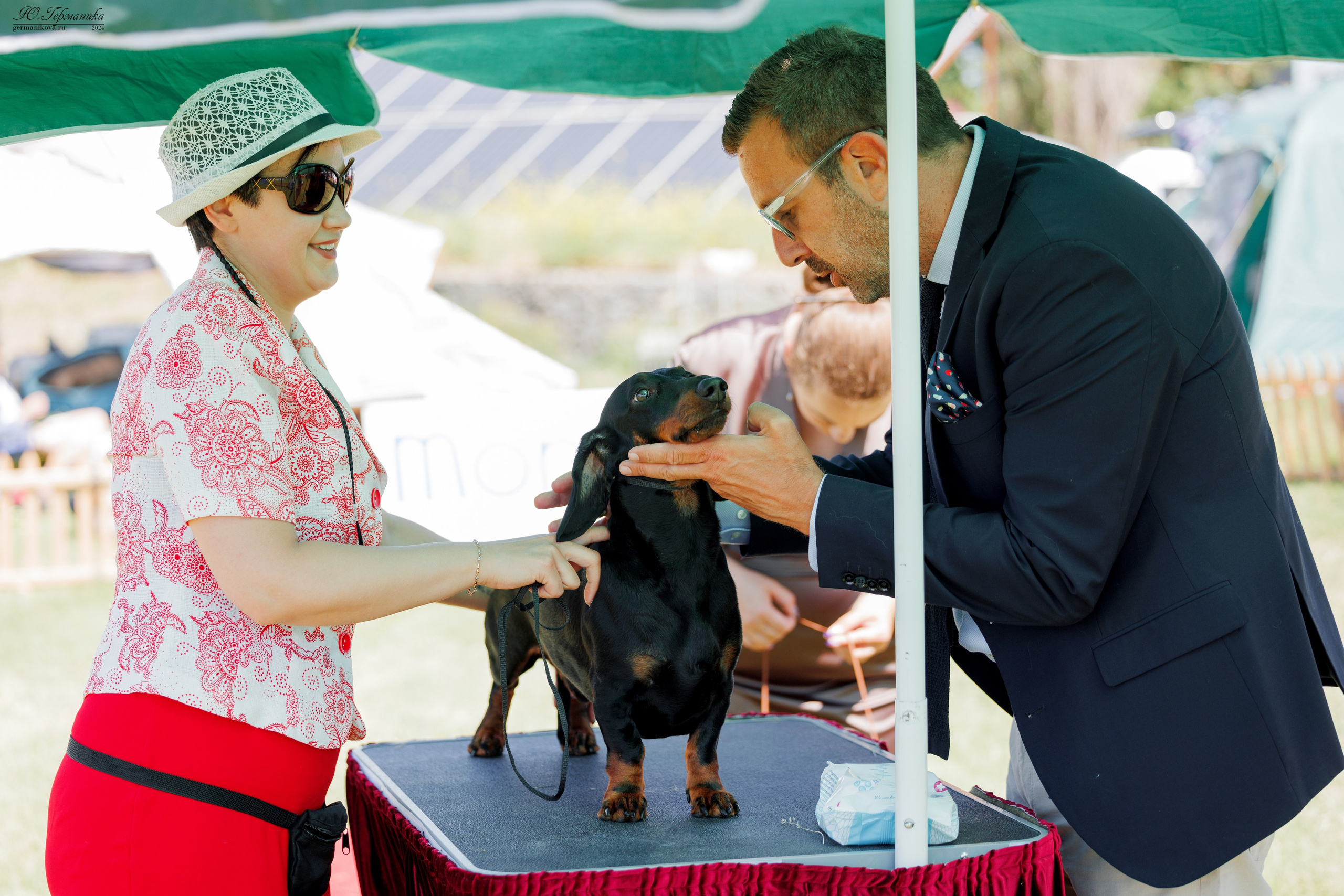 Ереван 3-5.06.2024. Фотограф-анималист Юлия Германика