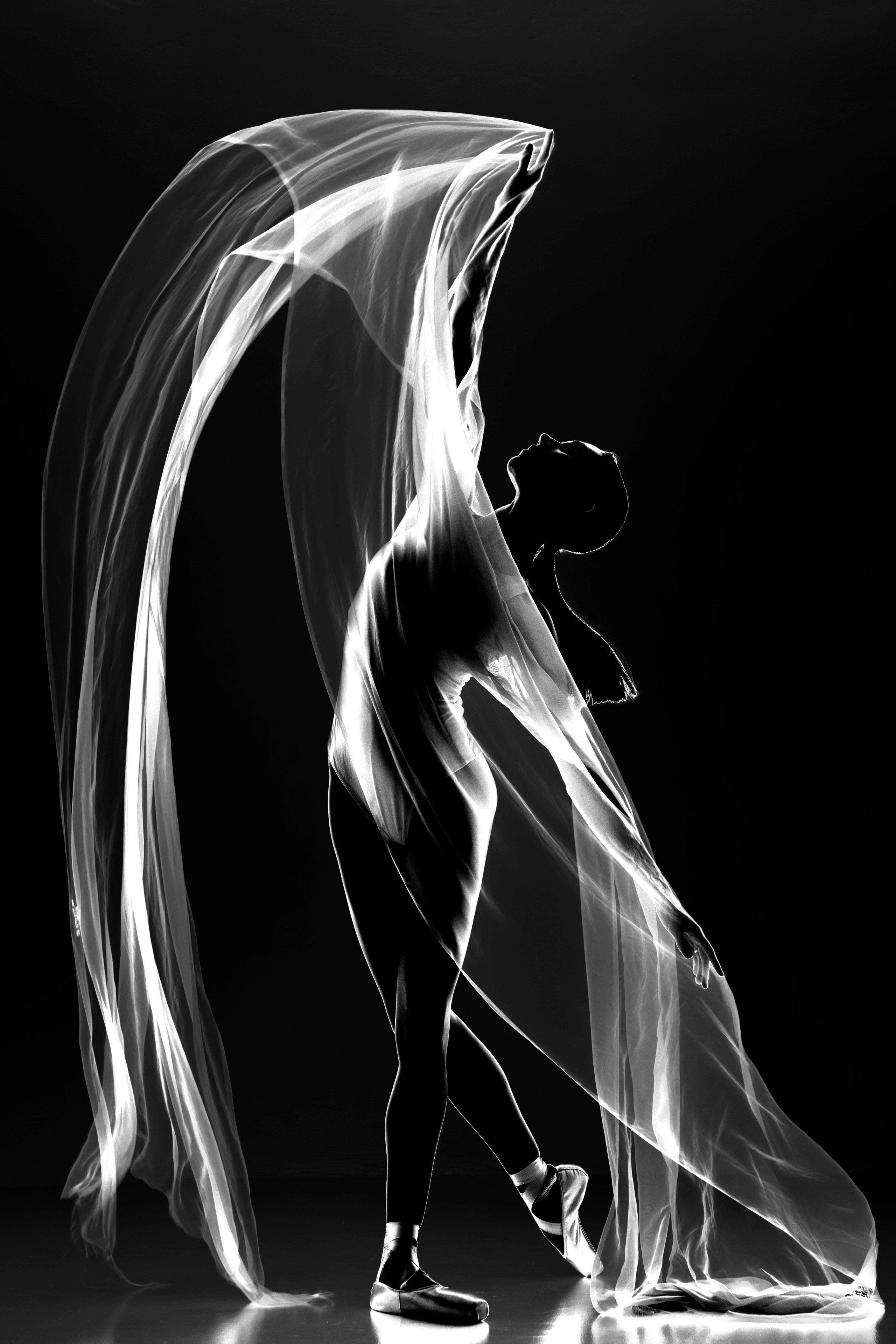 Искусство линии и света