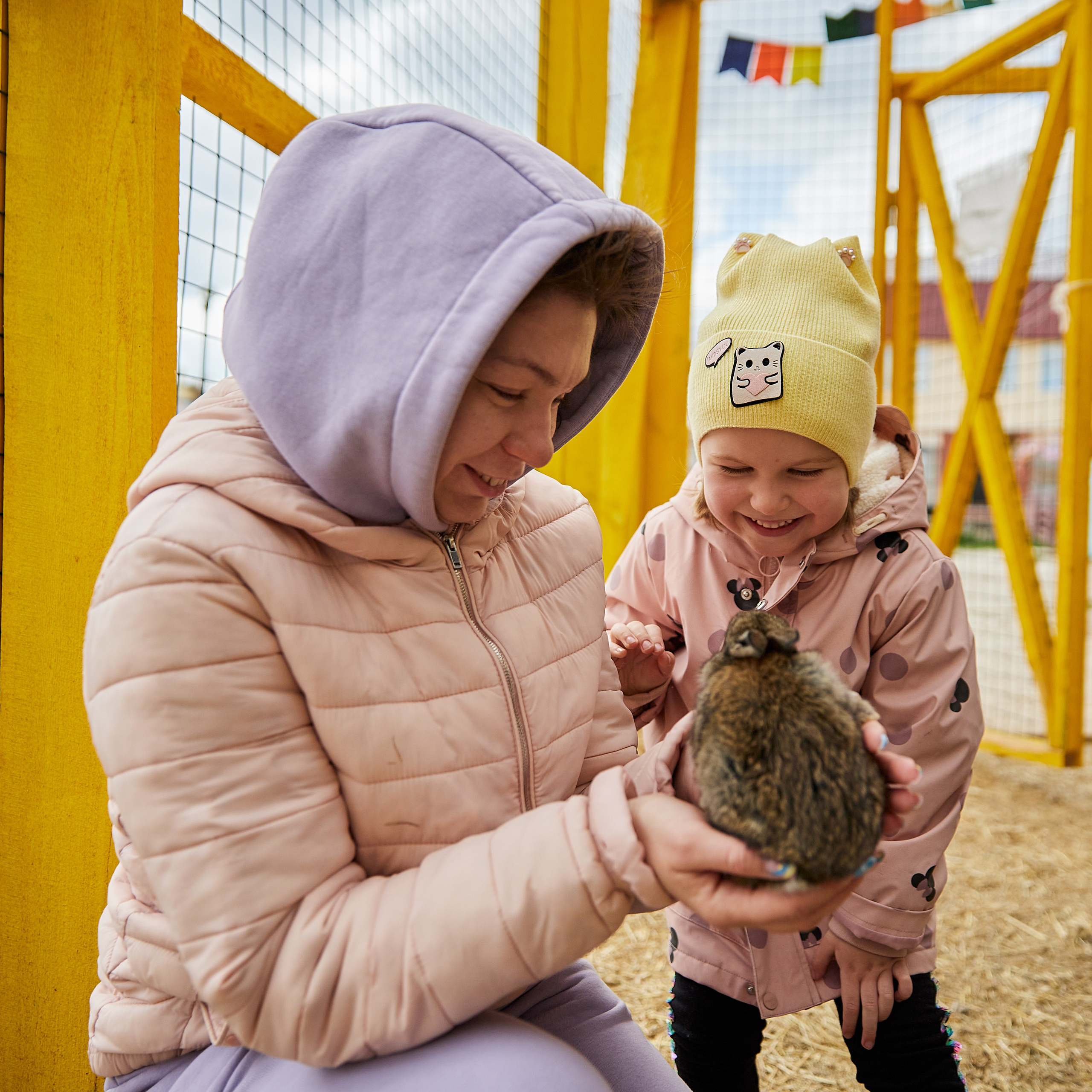 На ферме. Главная