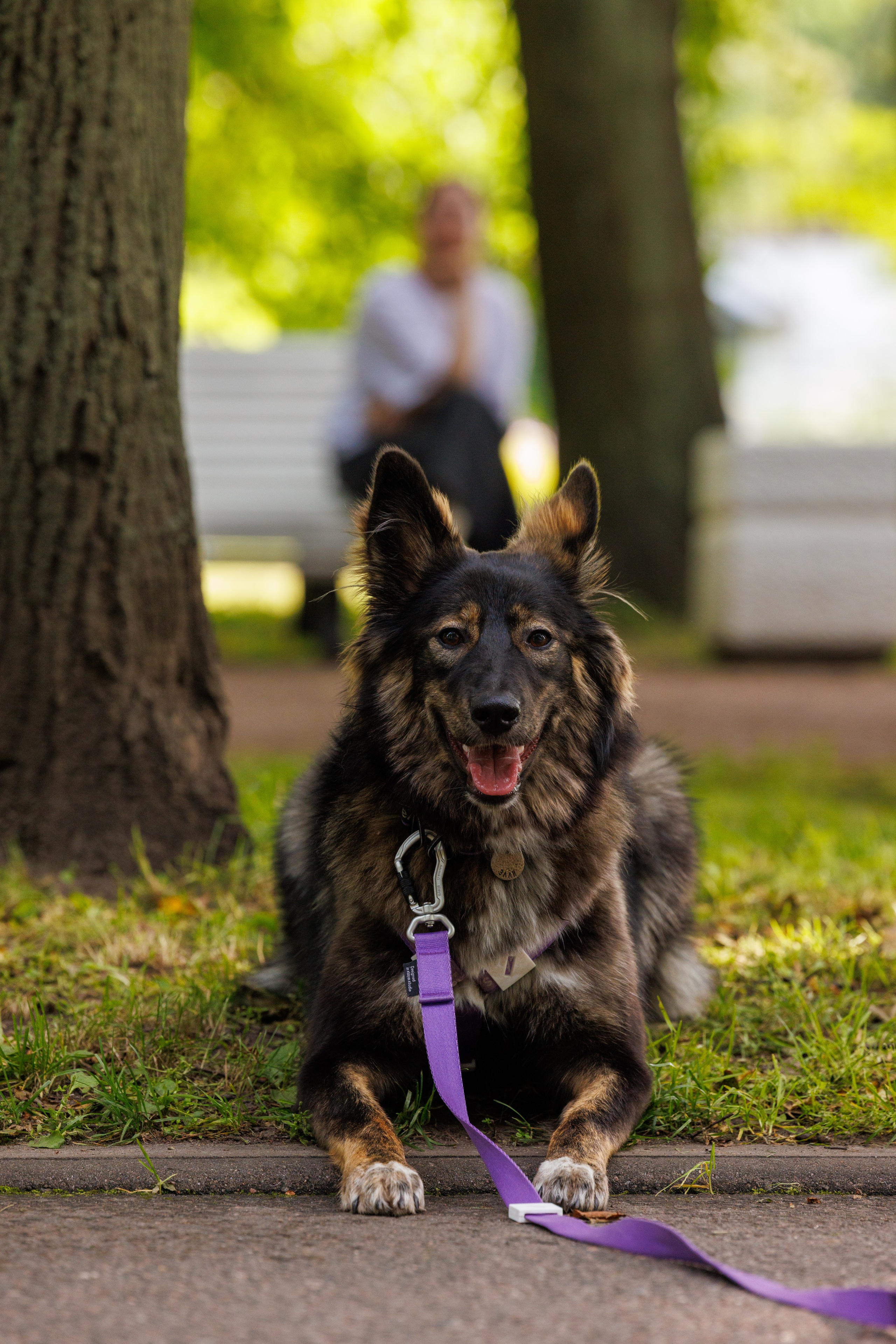 PetShopDays2026. Фотограф Александр Заломаев