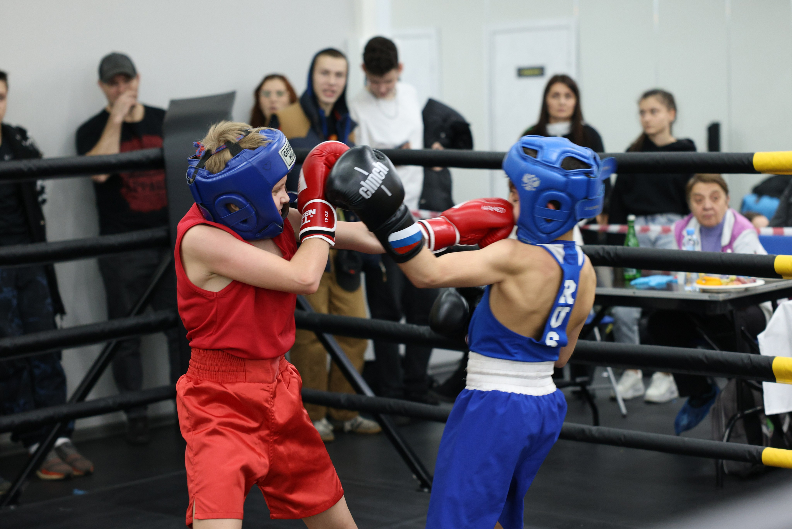 Открытый ринг «кубок ООО «ТЭК НеваСпецТяж». Фотограф Александр Заломаев