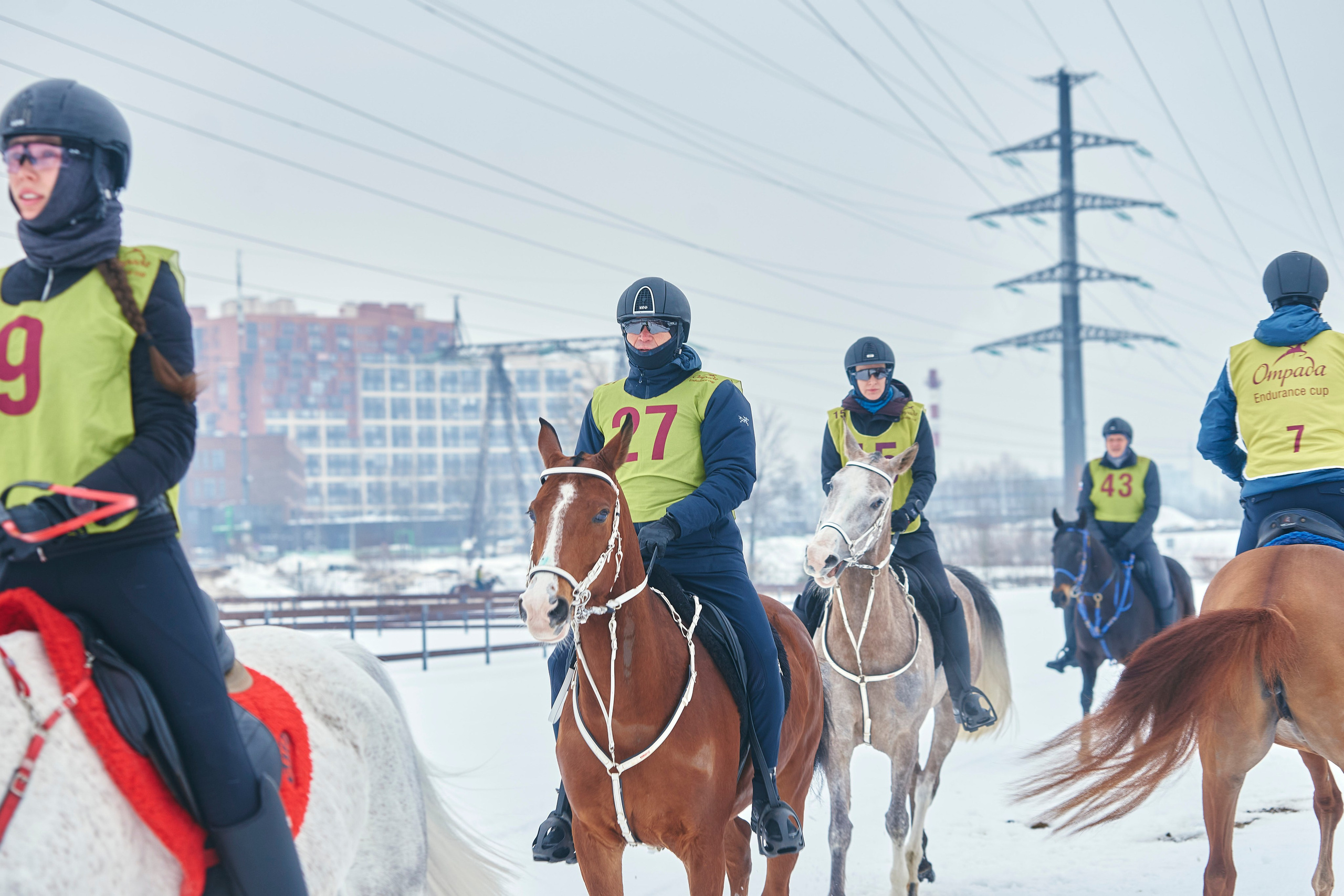 HORSE RACING. Фотограф Наталья Леонова
