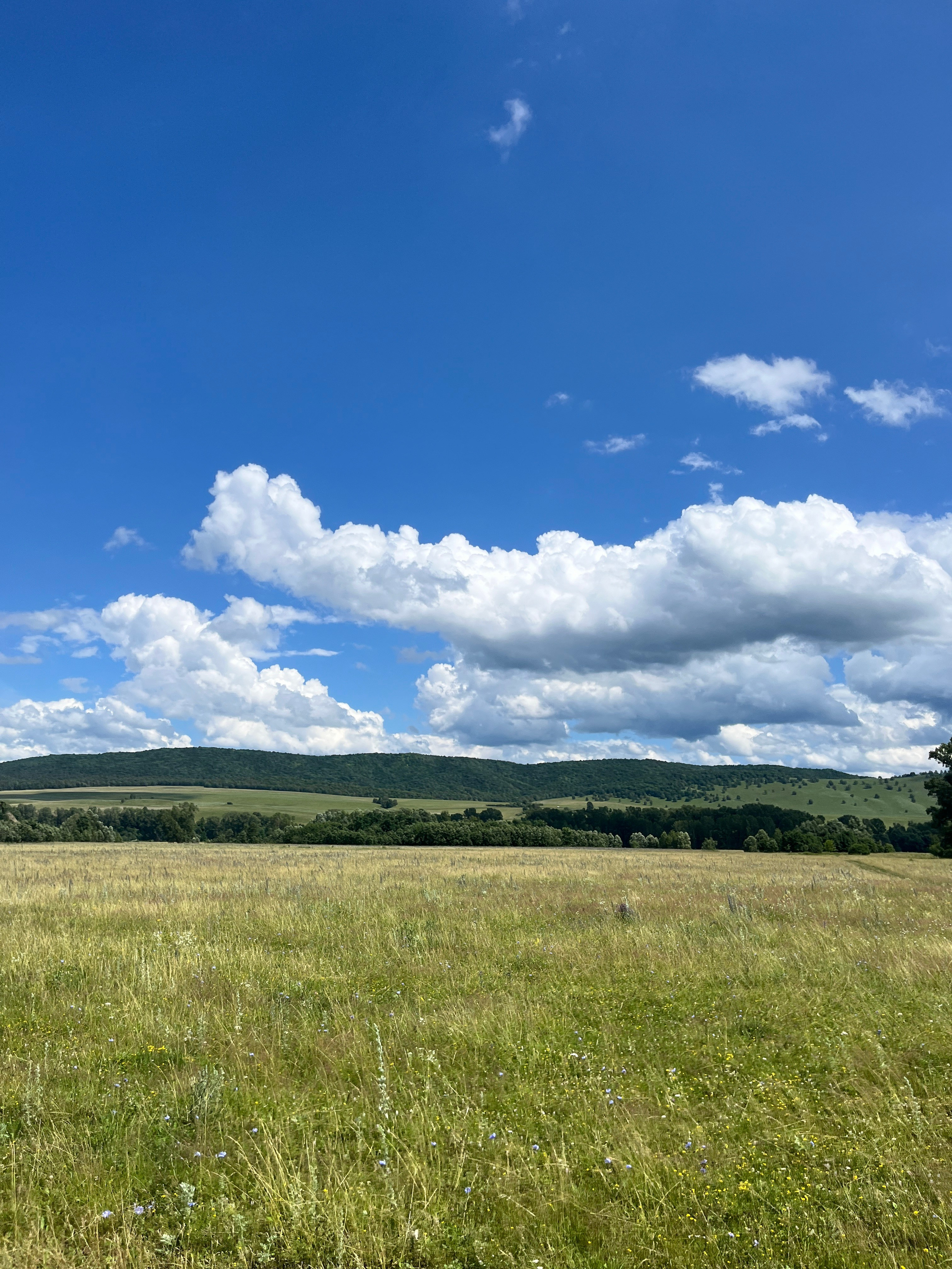 Фото с конных туров — Время приключений