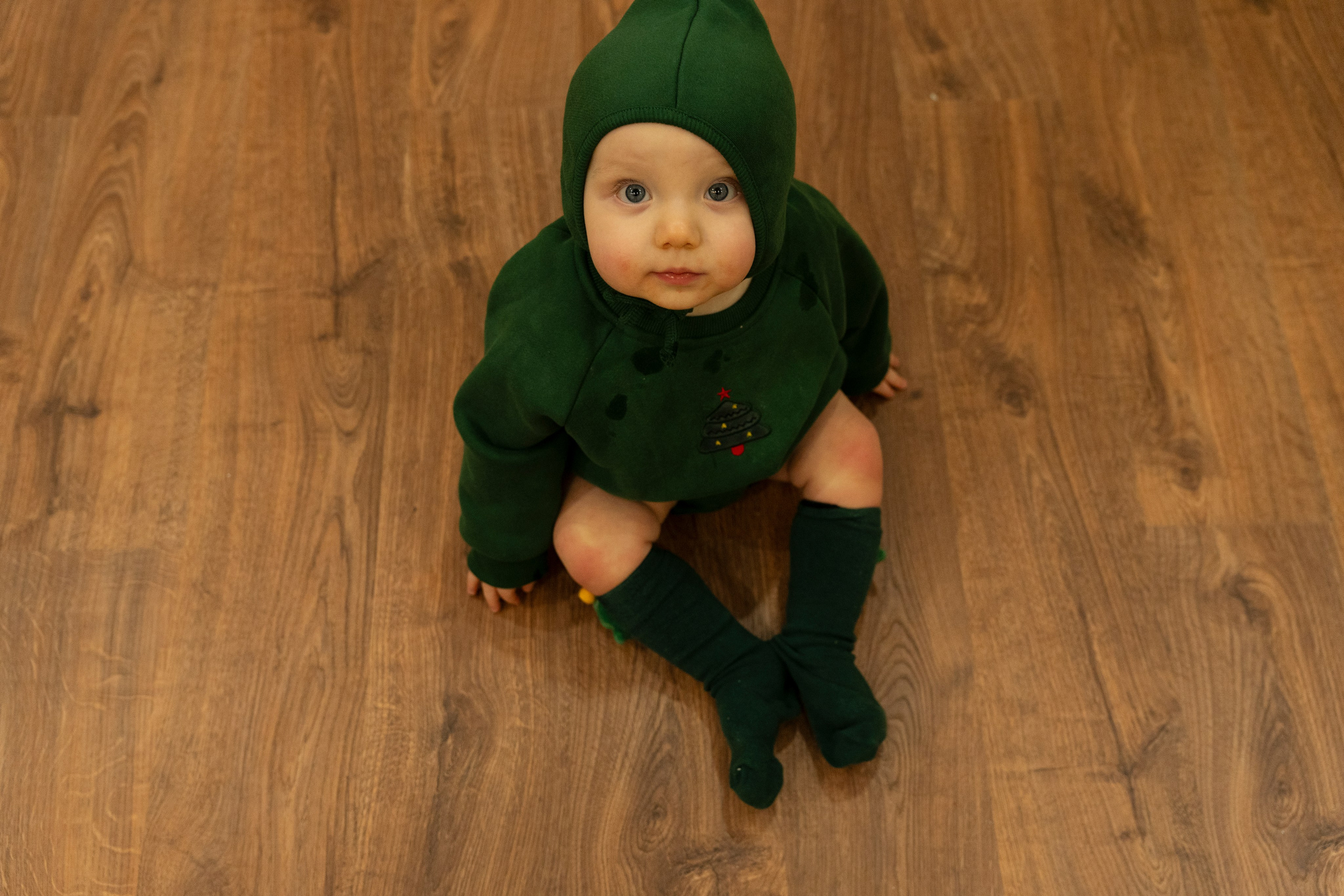 Новогодние тройняшки. Главная