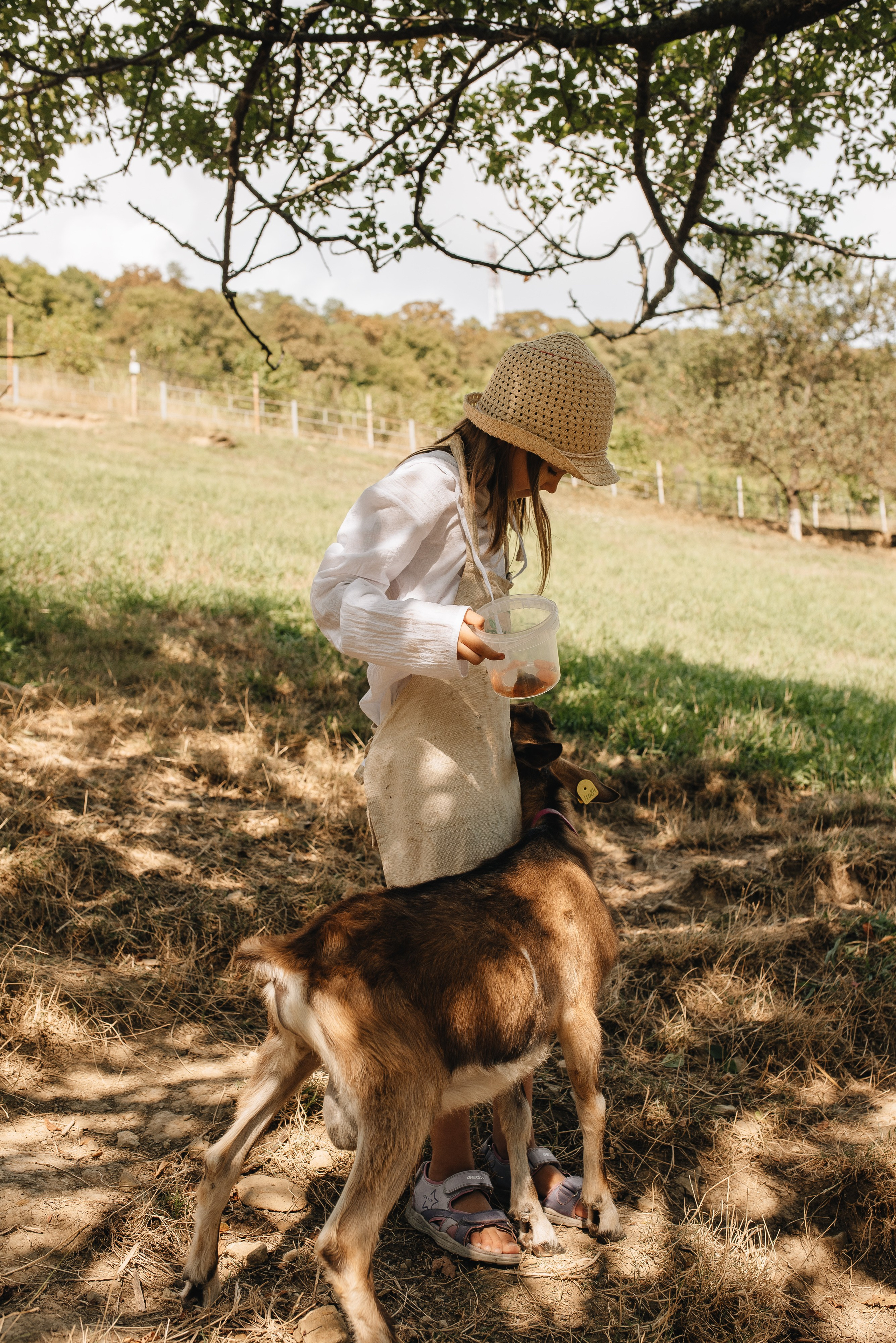На ферме. Семейная фотосессия в Новосибирске от фотографа Ольги Коваль