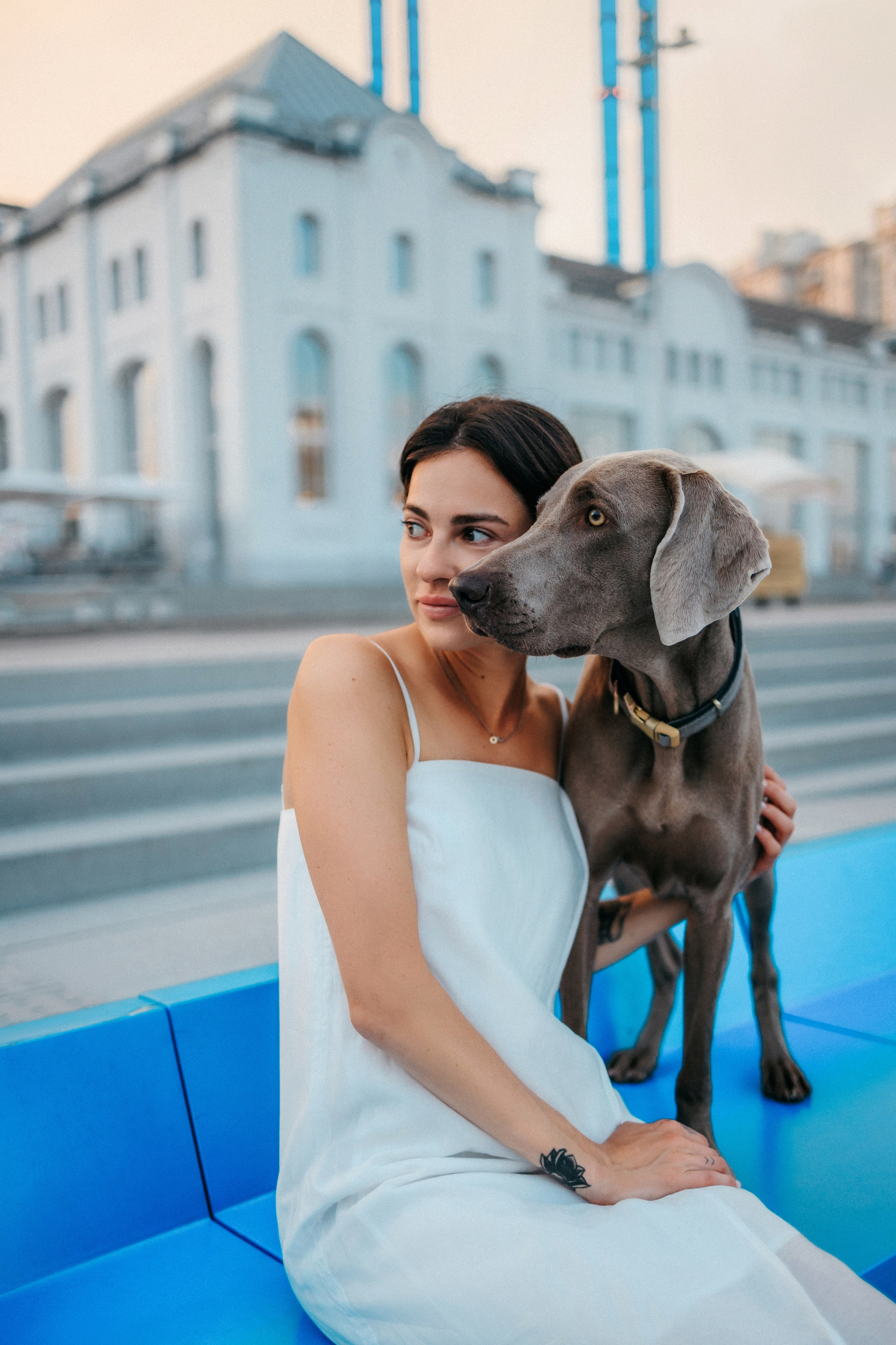 Соня и Майли. Фотограф-анималист Елена Радченко, Москва