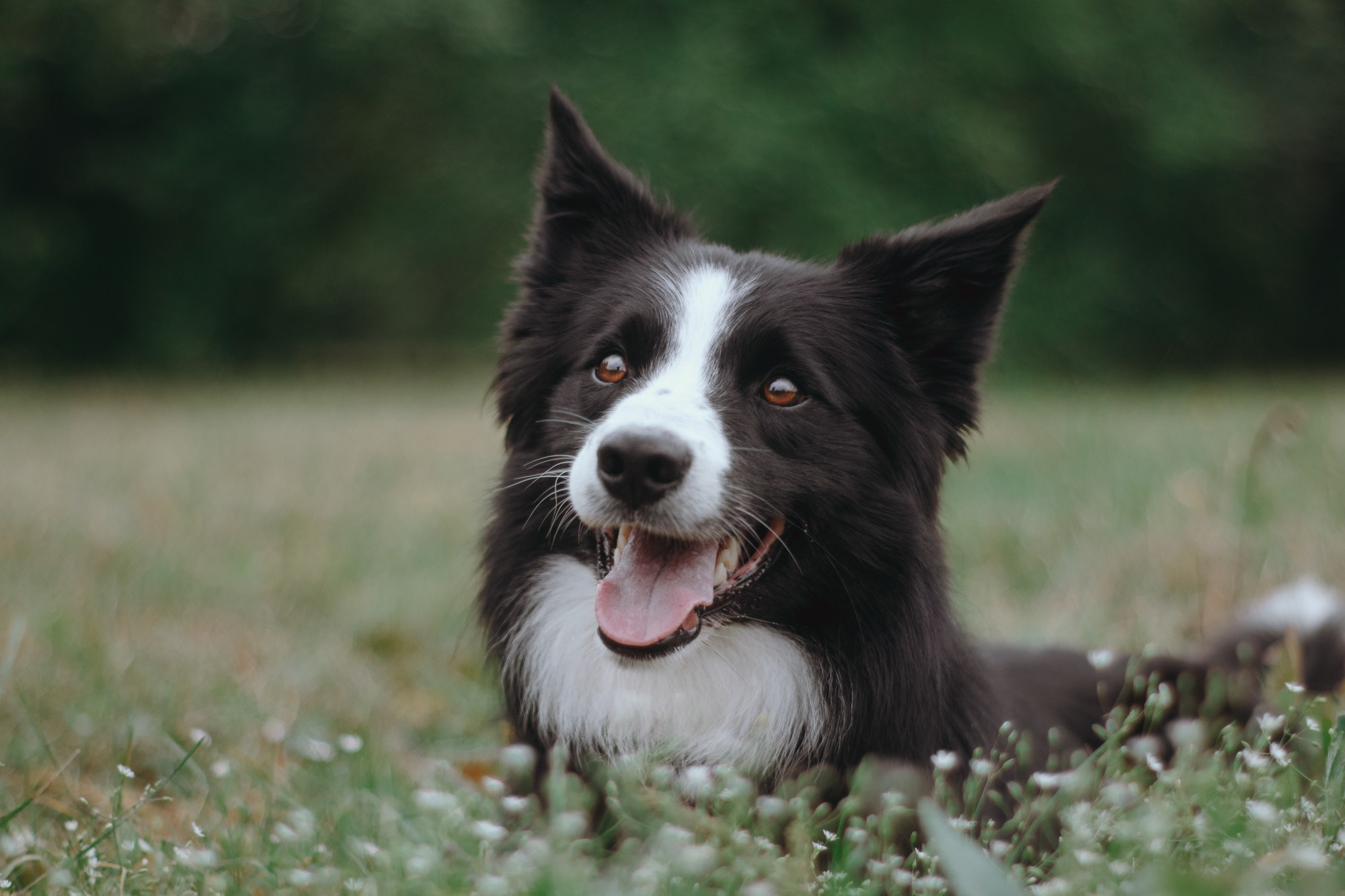 Макс. Фотограф в Тюмени Лизавета Сапицкая