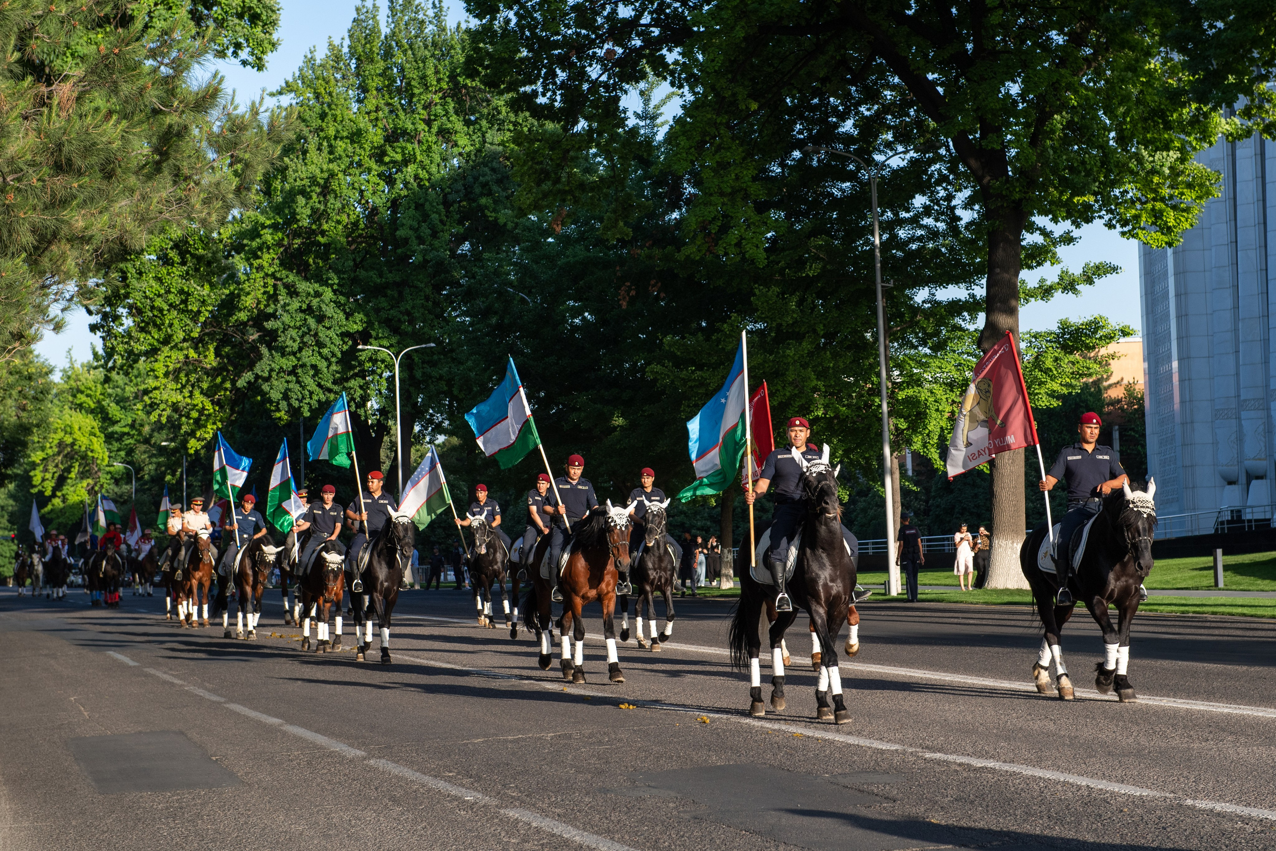 Конный парад в Ташкенте. Репортажный, спортивный и документальный фотограф в Ташкенте Алексей Елисеев