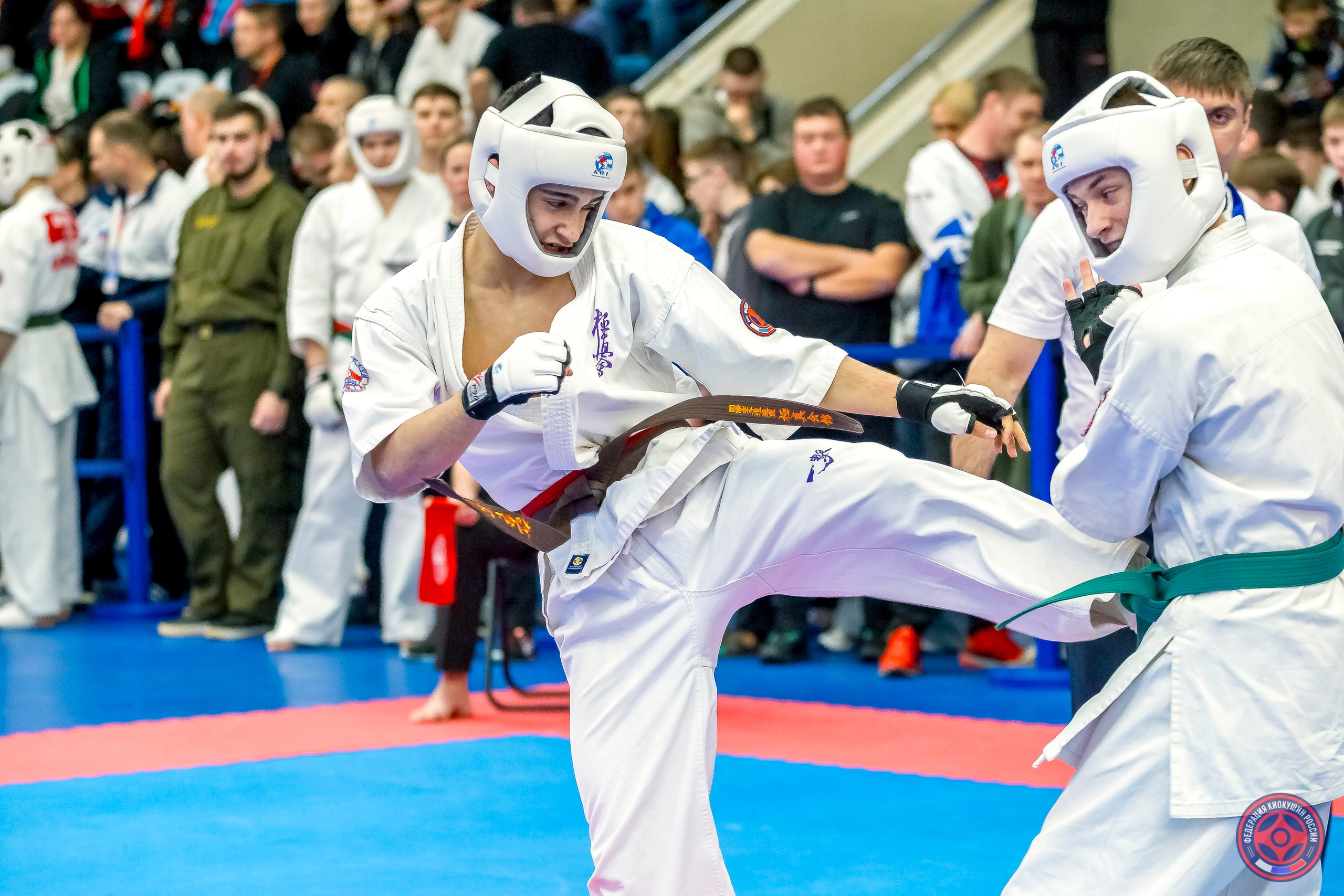 Международный турнир по киокушин «Открытый кубок Seiken». Репортажная съемка в Москве и области. Анималистика