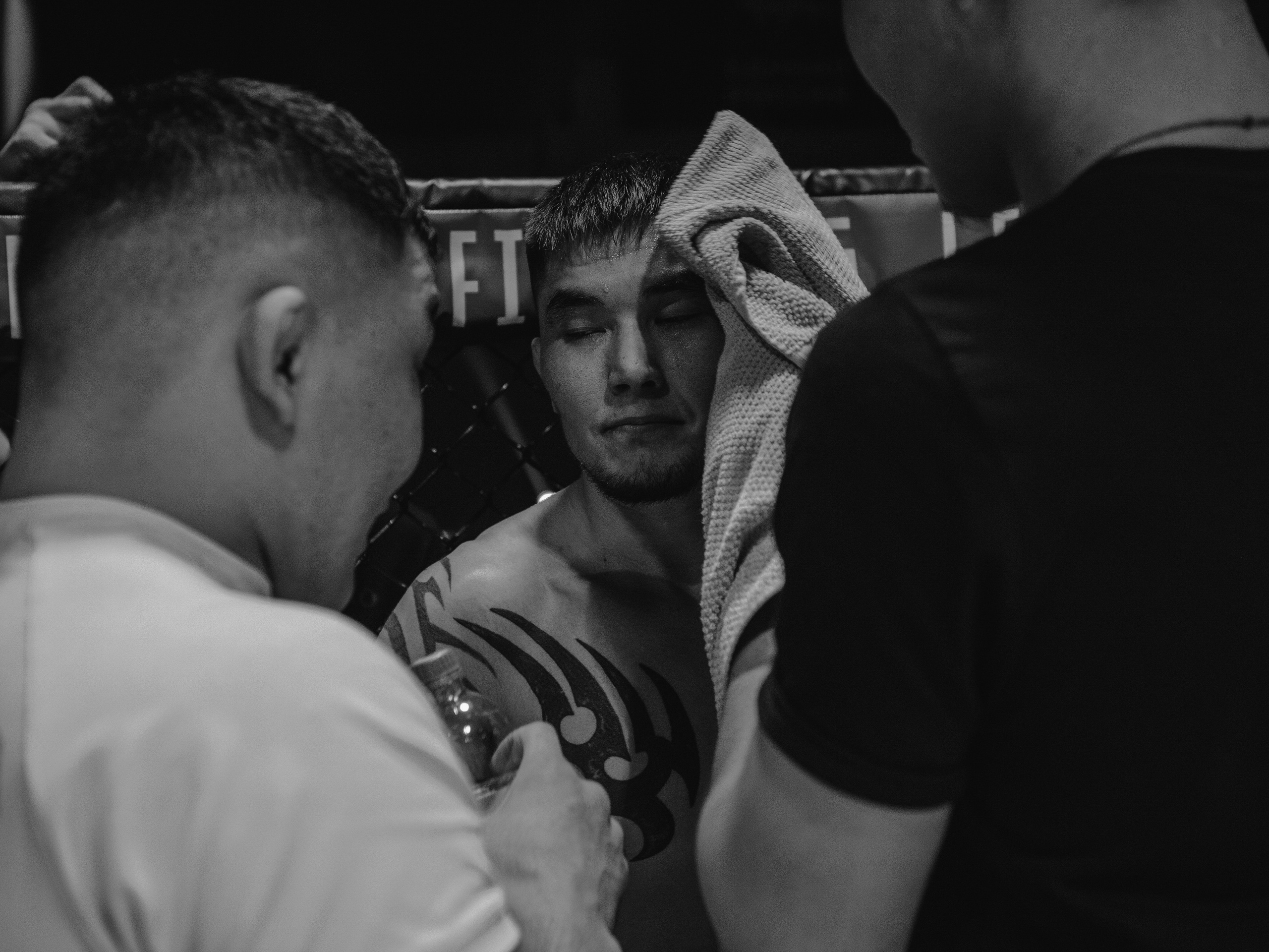 SFL 17 | Siberian Fighting League. Портретный фотограф в Москве Дарья Цезария