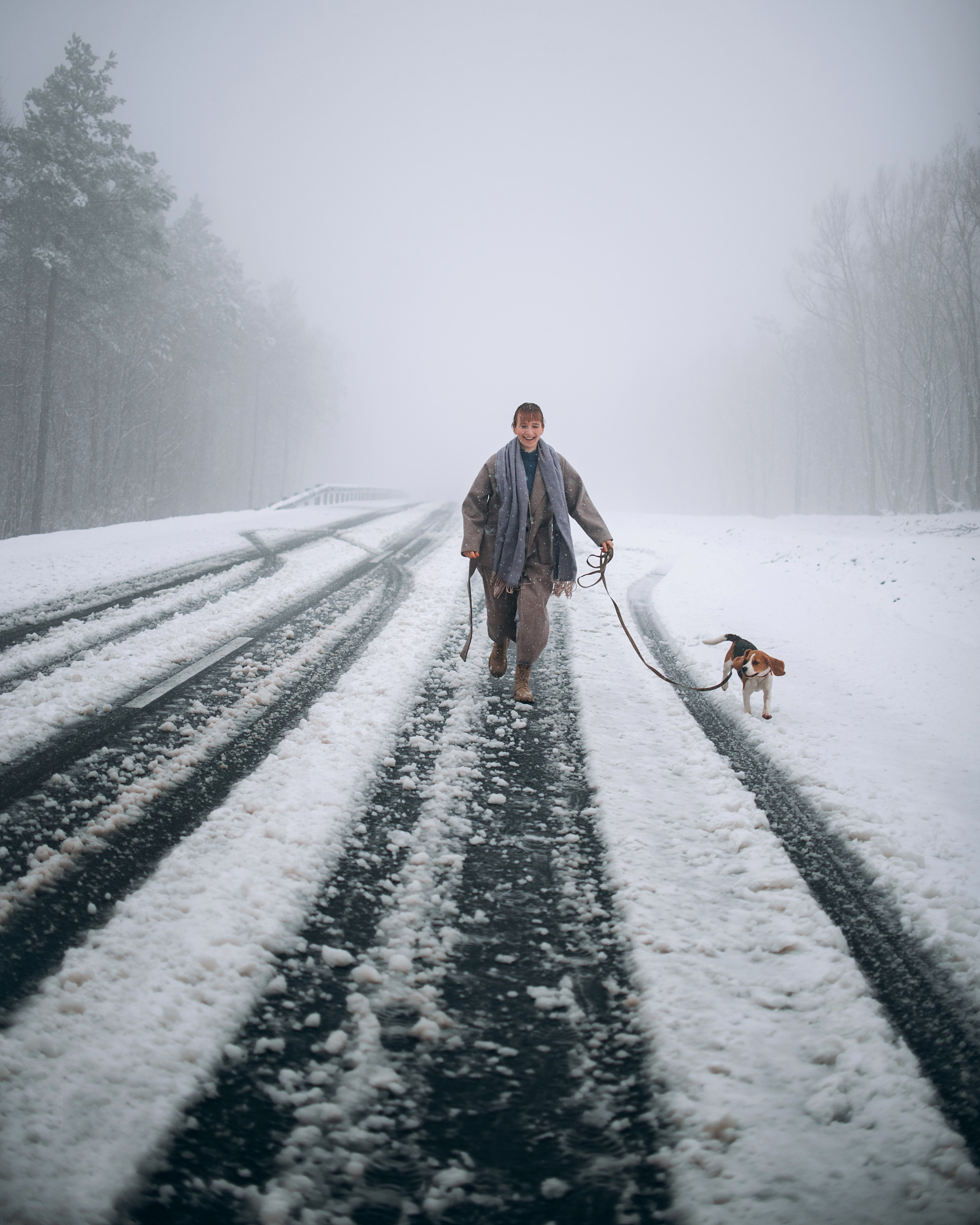Прогулка с собаками: бигли и Лена. Портфолио