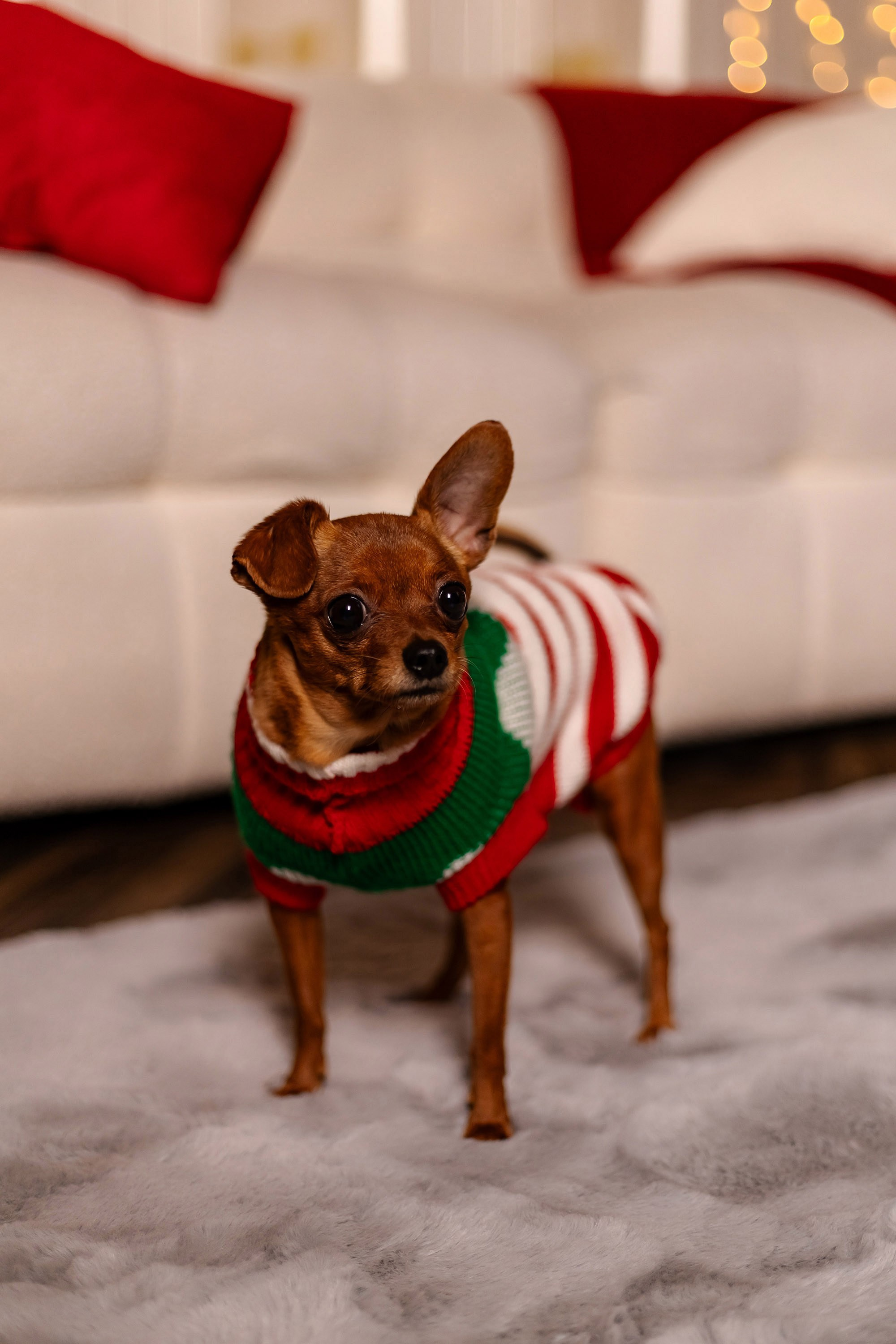 Анастасия & Максим. Фотограф из Хабаровска Юлия Черёмушкина