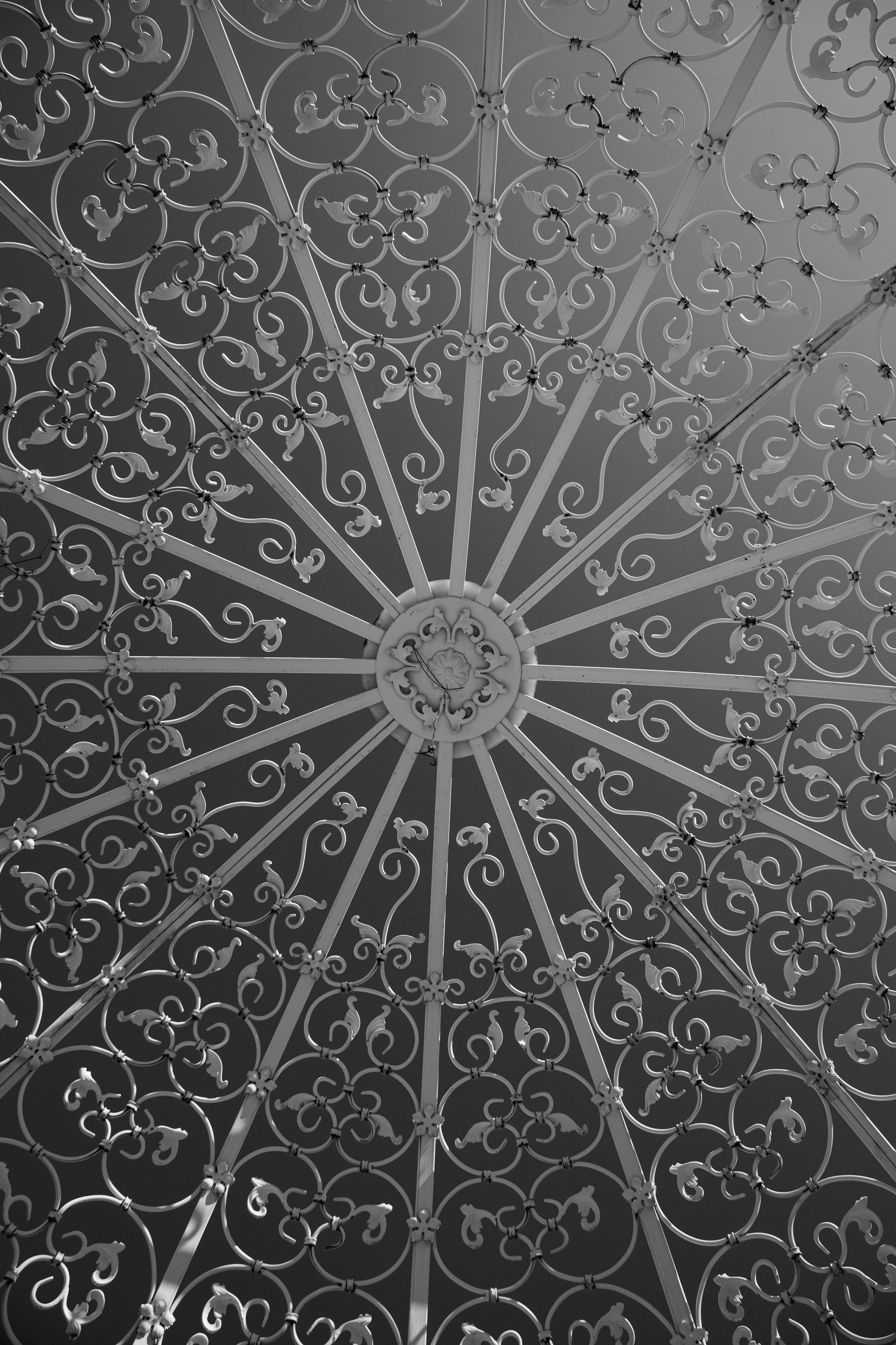 Веневитинов одобряет. Артём Бачурин — свадебный фотограф Воронеж