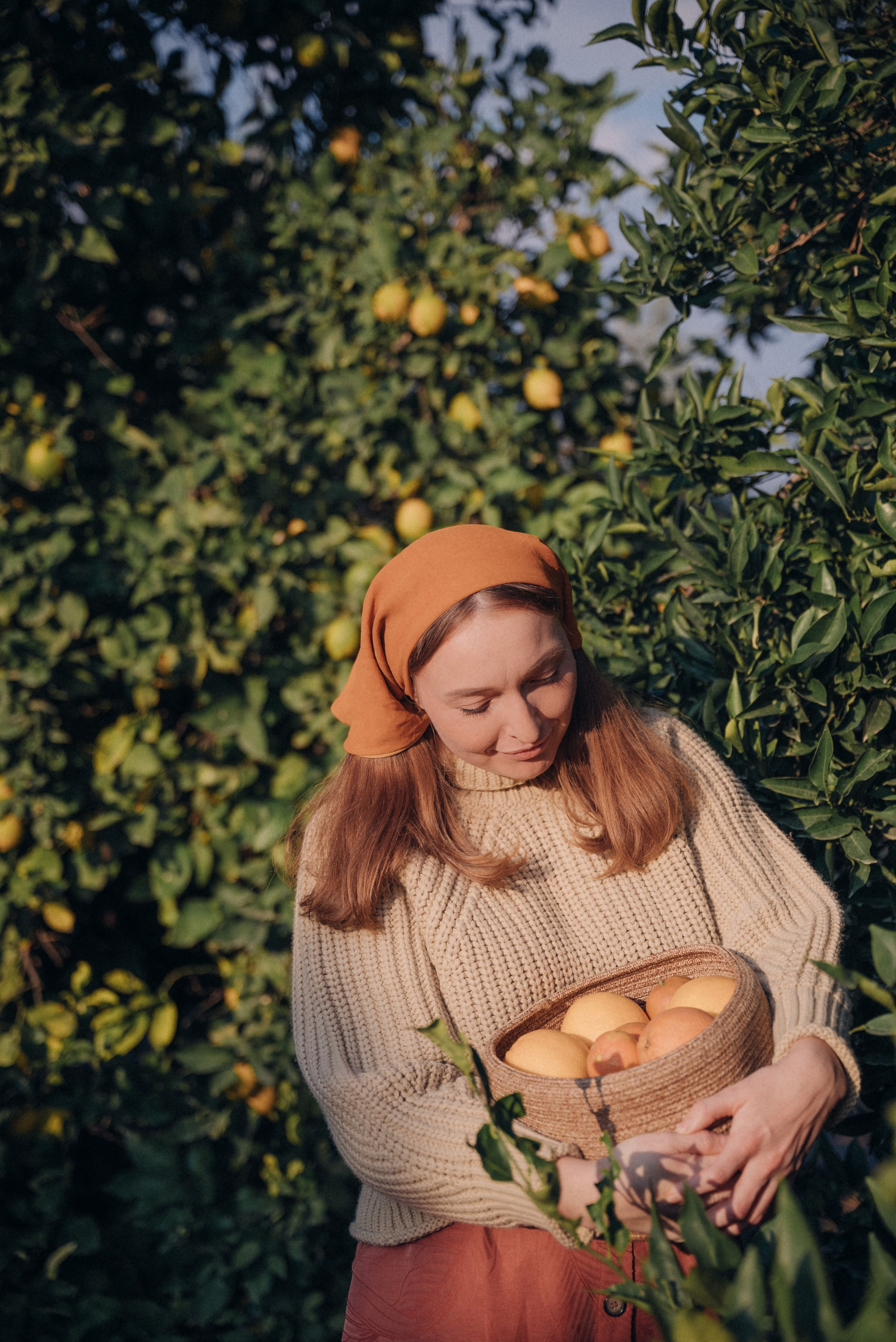 Сбор урожая. Анна Лобанова | фотограф