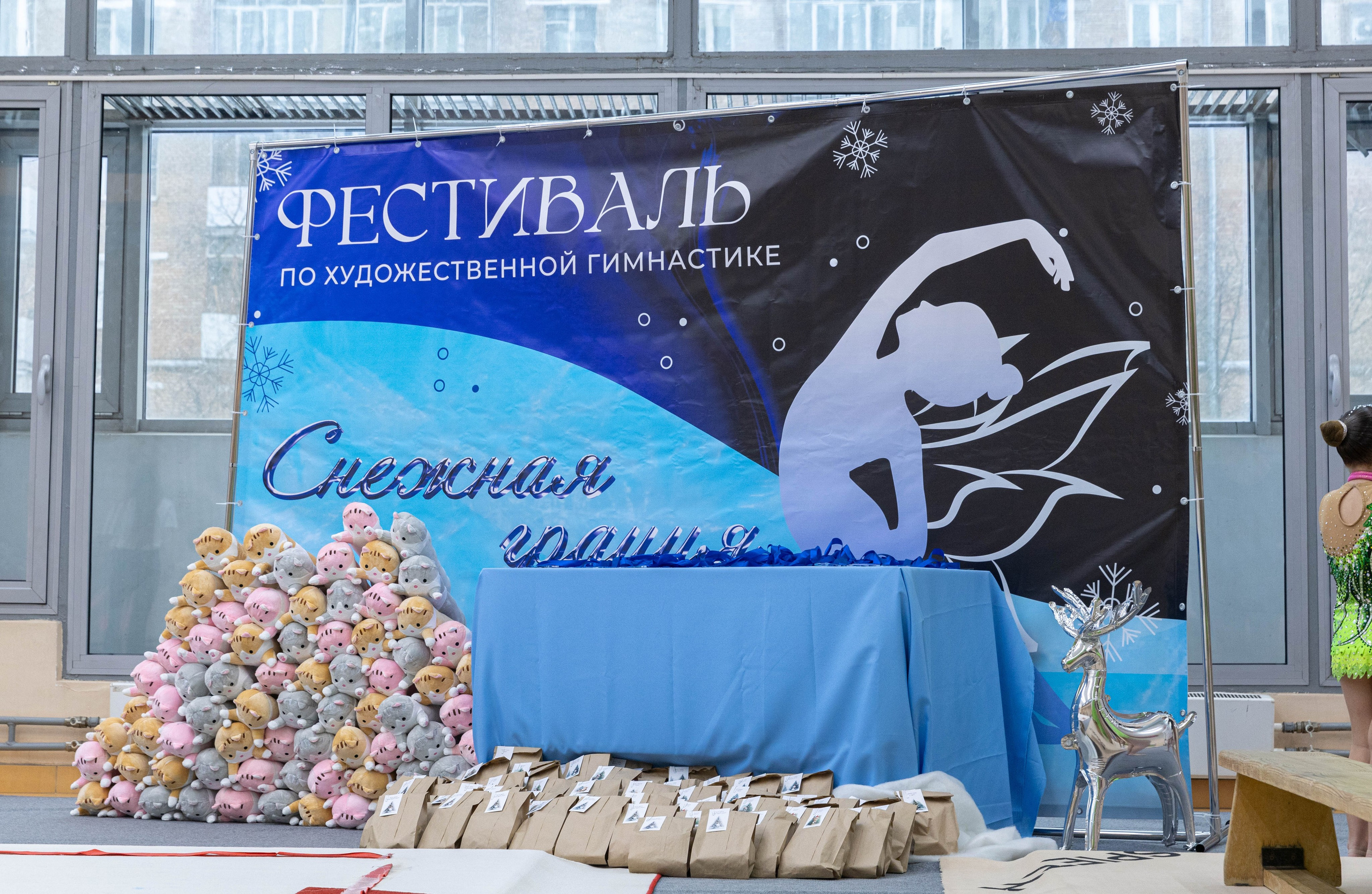 Художественная гимнастика. Свадебный и репортажный фотограф в Москве, Александр Плотников