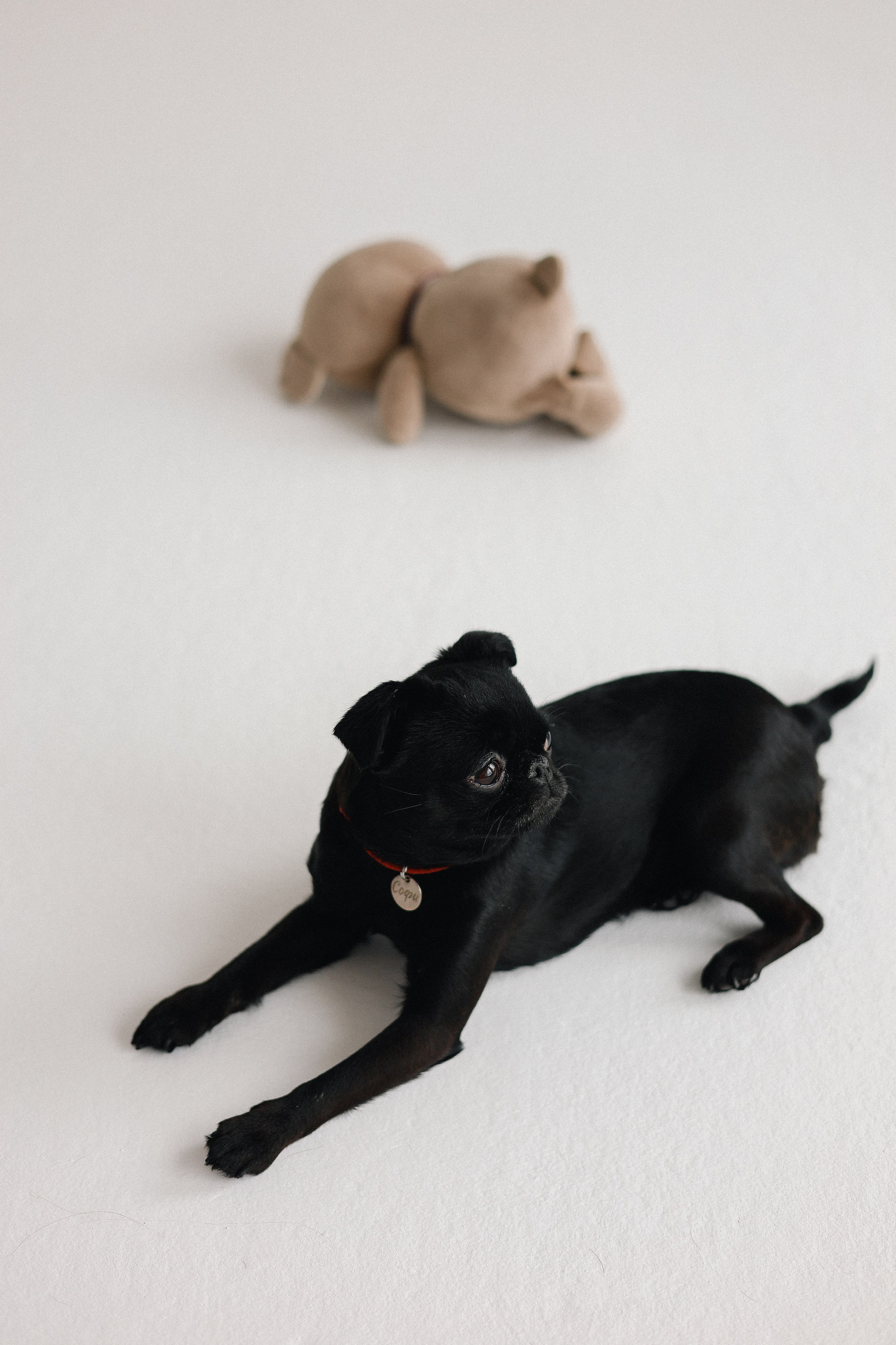 . Фотограф в Москве Виктория Губина