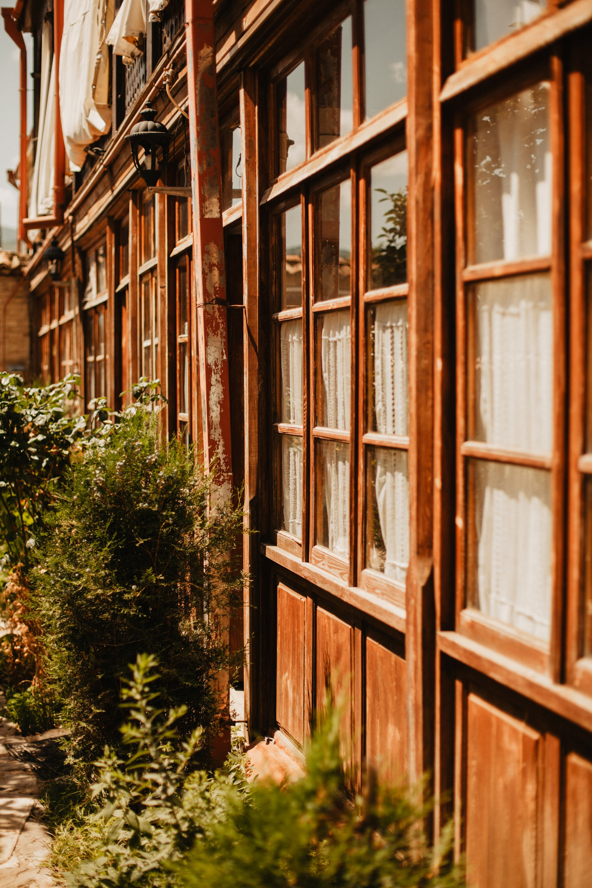 Грузинские каникулы. Violetta Skripka