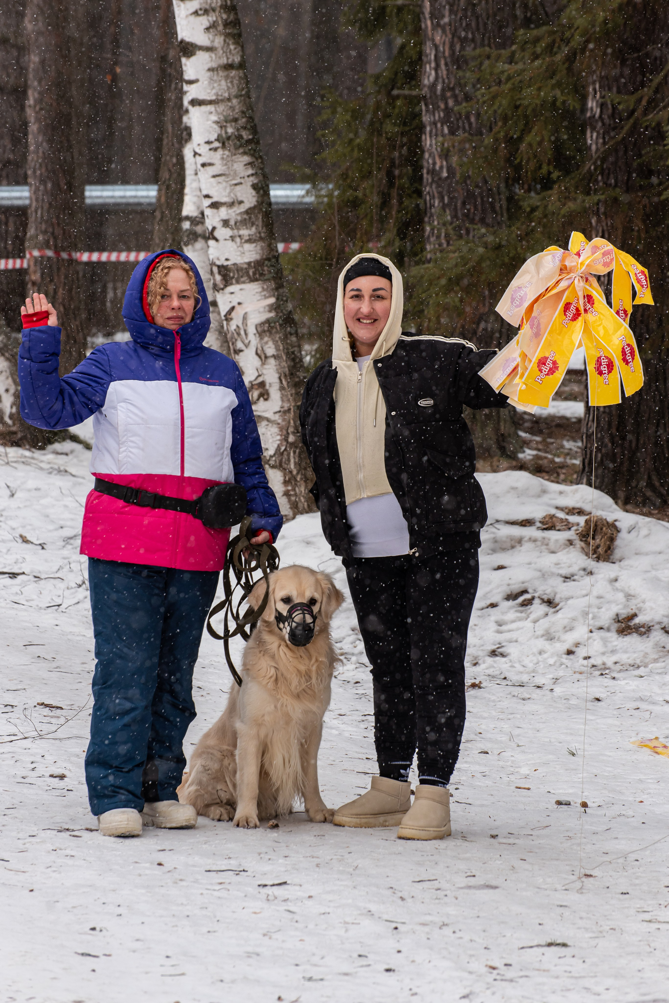 Фотосъёмка с собаками в Кинологическом лагере. Фотограф Макс Огурцов в Нижнем Новгороде