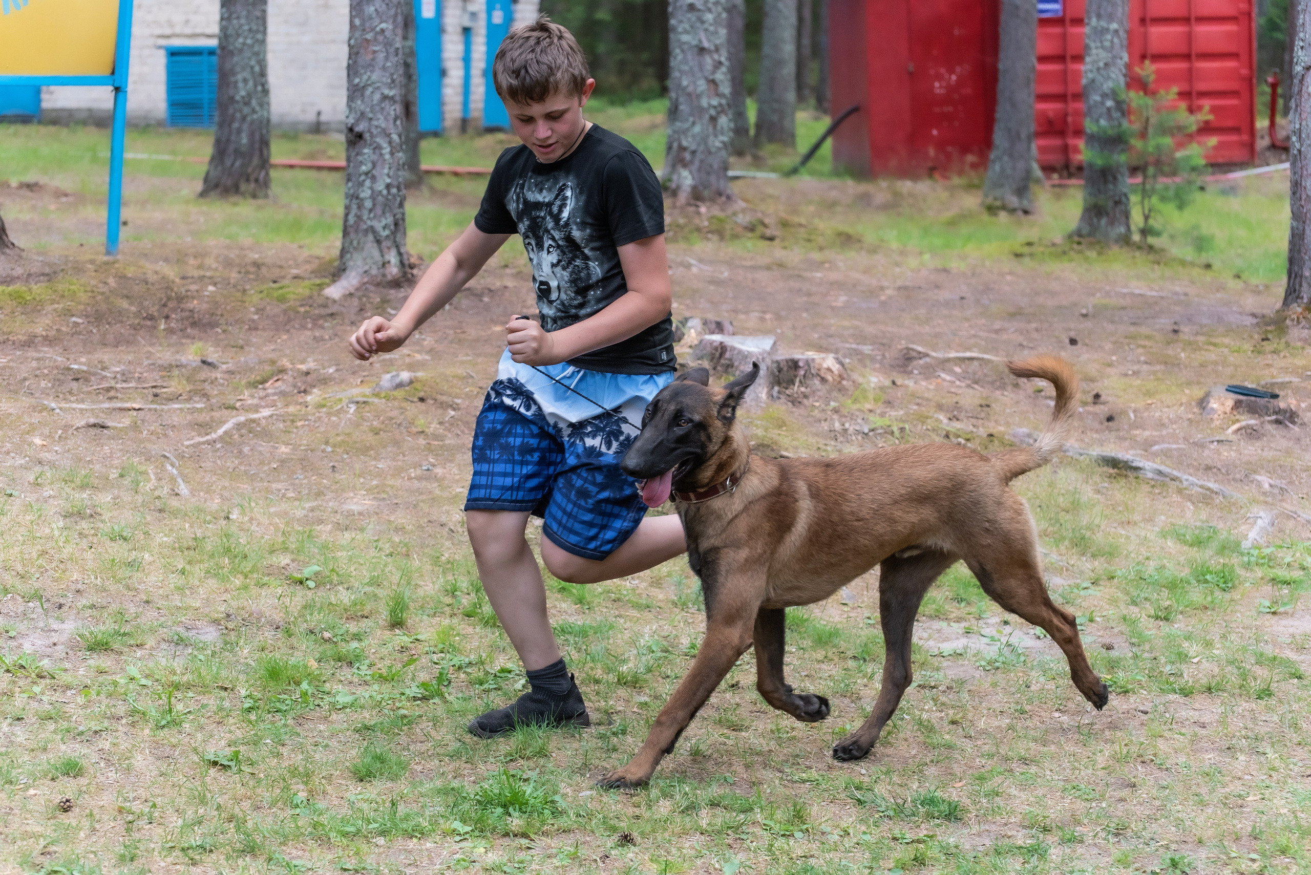Хвостатые каникулы Детский кинологический лагерь. Фотограф Макс Огурцов в Нижнем Новгороде