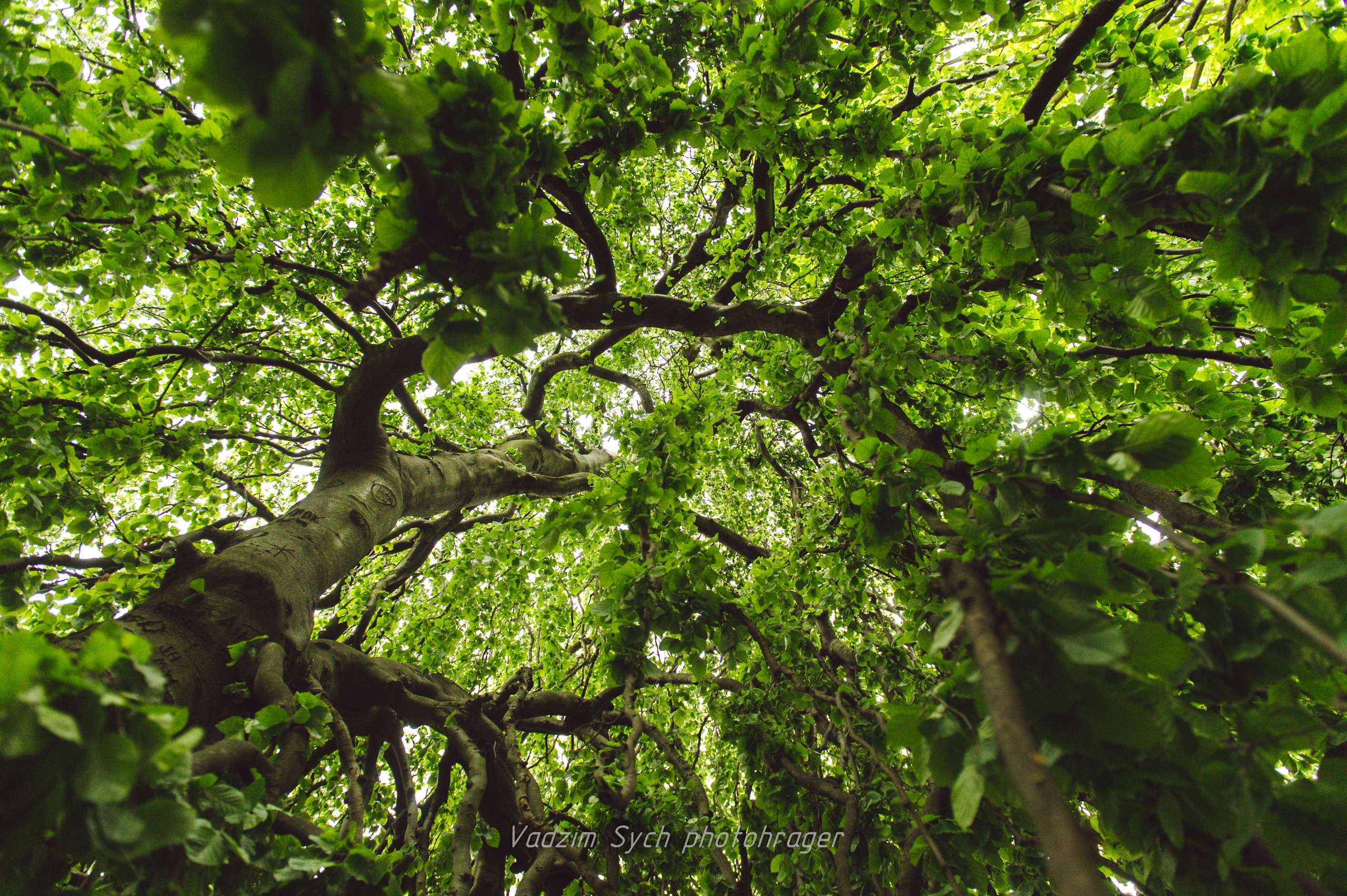 Городские зарисовки. Vadzim Sych. Phptographer