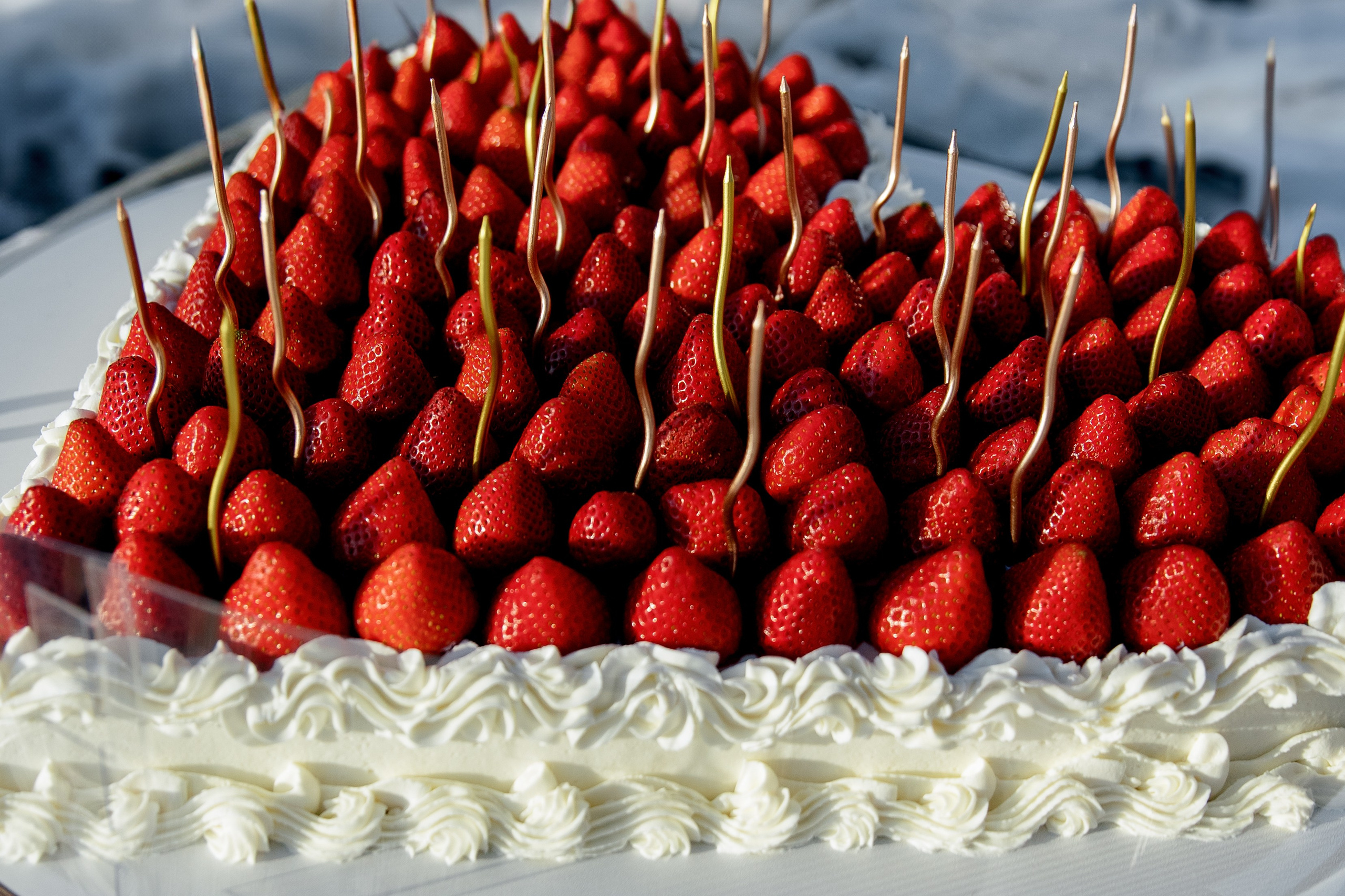 ДЕНЬ ДОЖДЕНИЯ ЕКАТЕРИНЫ. Фотограф в Красноярске