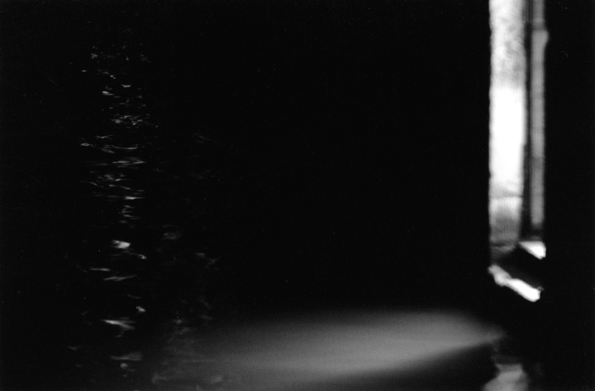 Art Series. Елена Цихон художник фотографии и мастер фото-ДНК