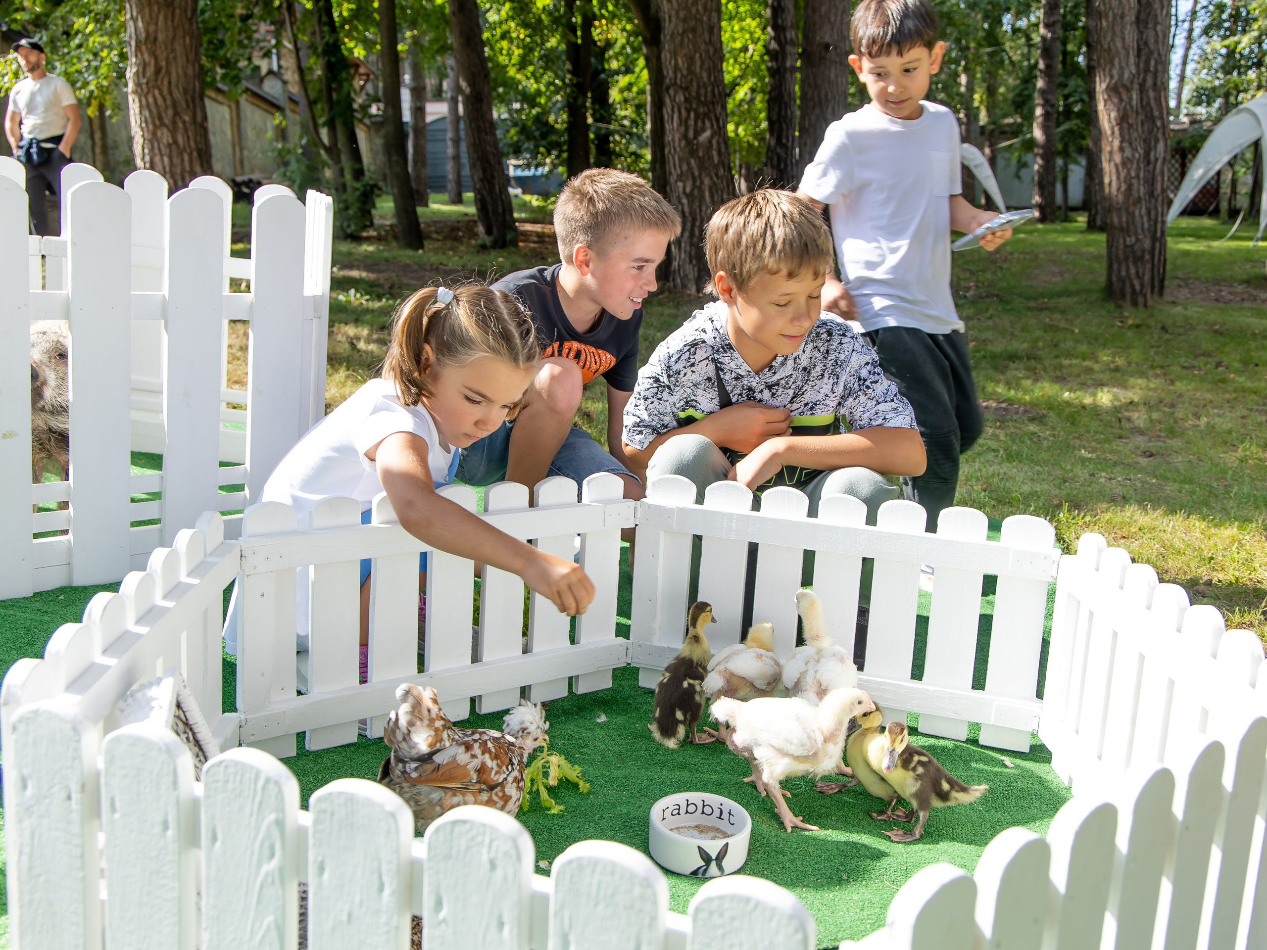 Семейная и детские портреты. Фотограф