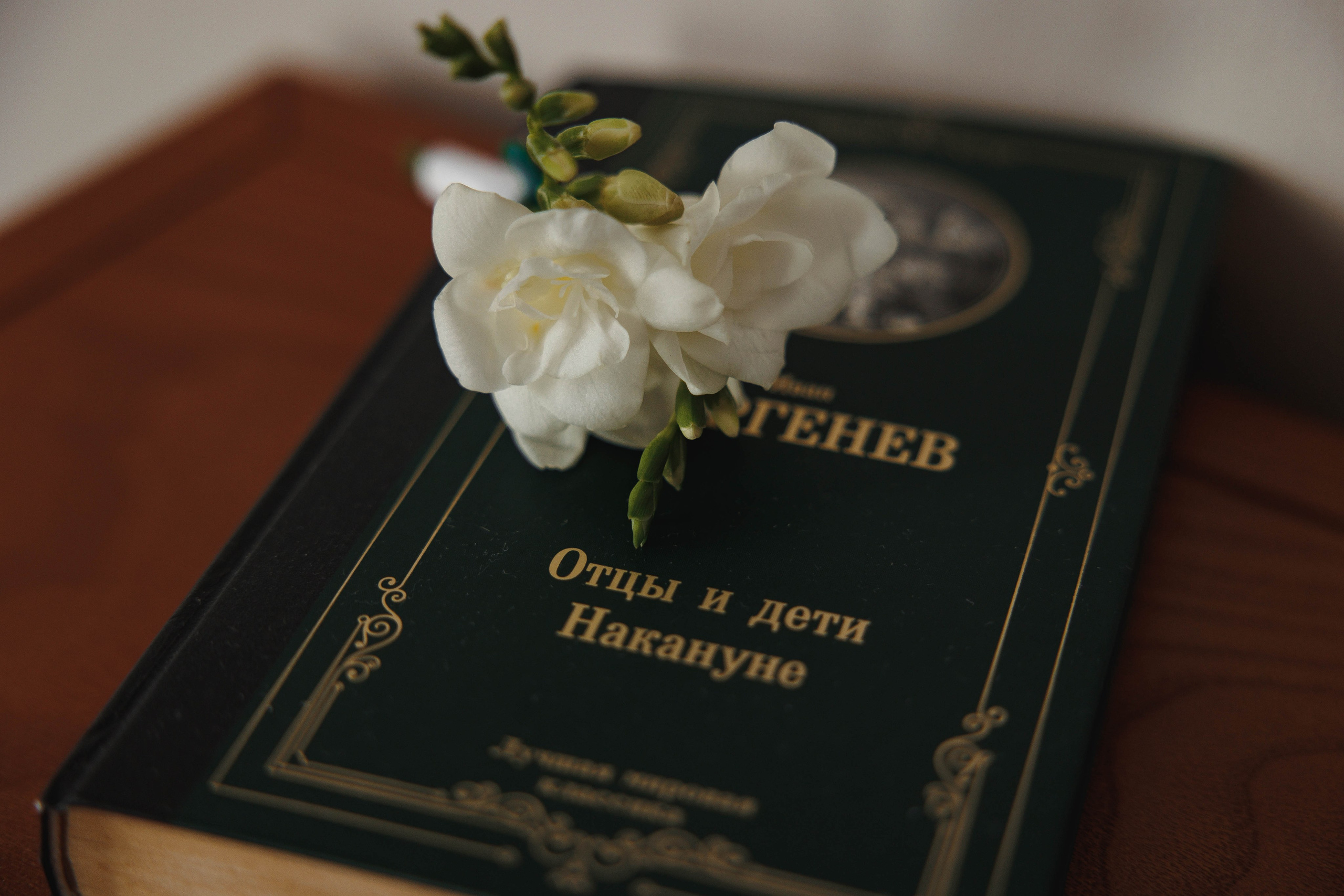 Полина и Владимир. Галерея