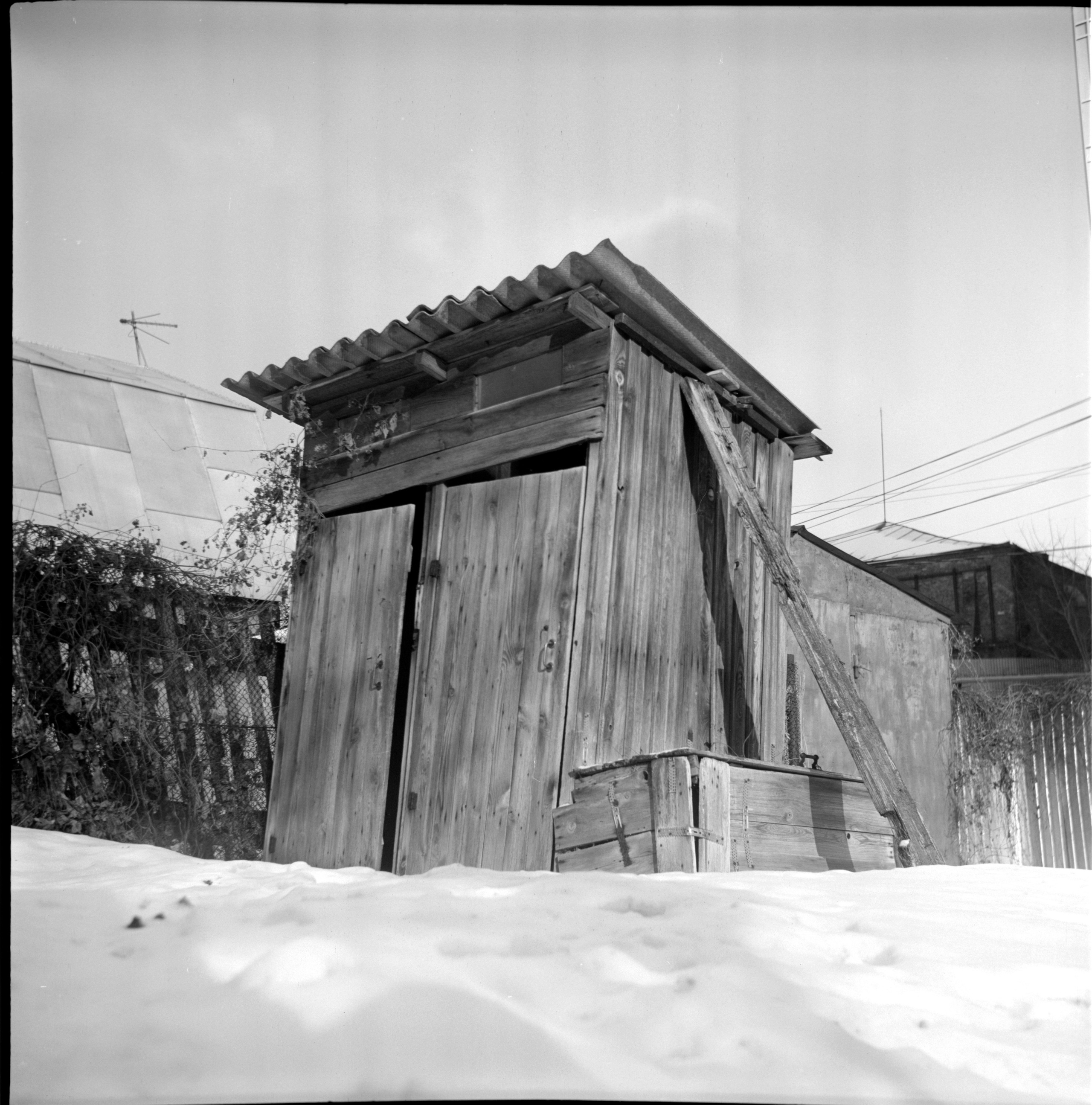 Фотограф Ольга Дурнова