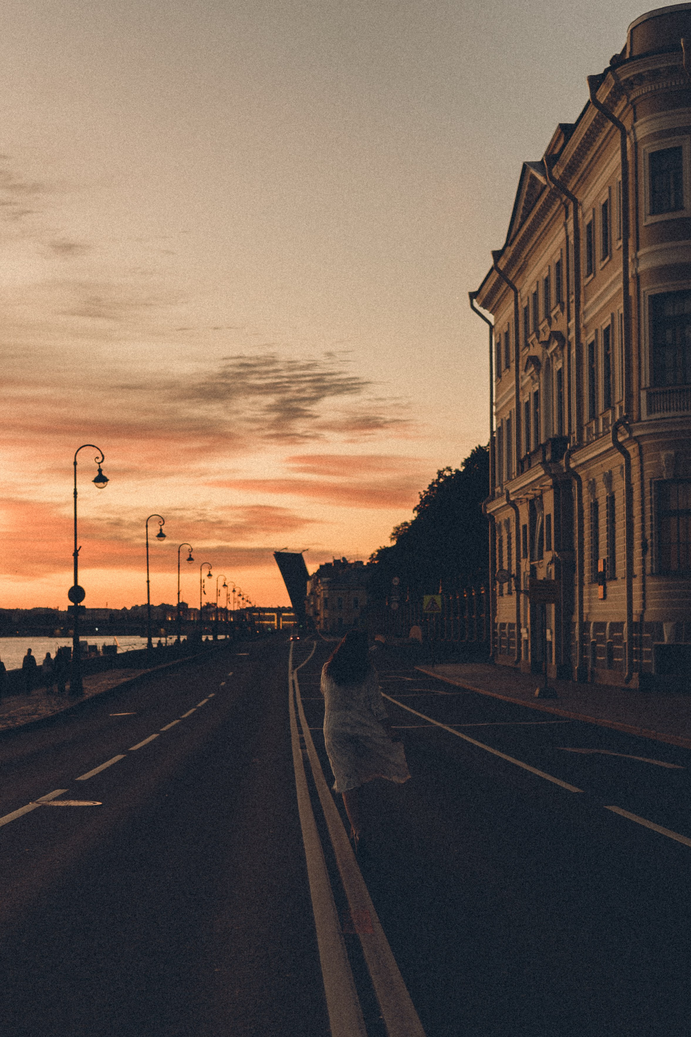 РАССВЕТ С РАЗВОДНЫМИ МОСТАМИ. Профессиональный фотограф, Санкт-Петербург — Виктория Богомолова