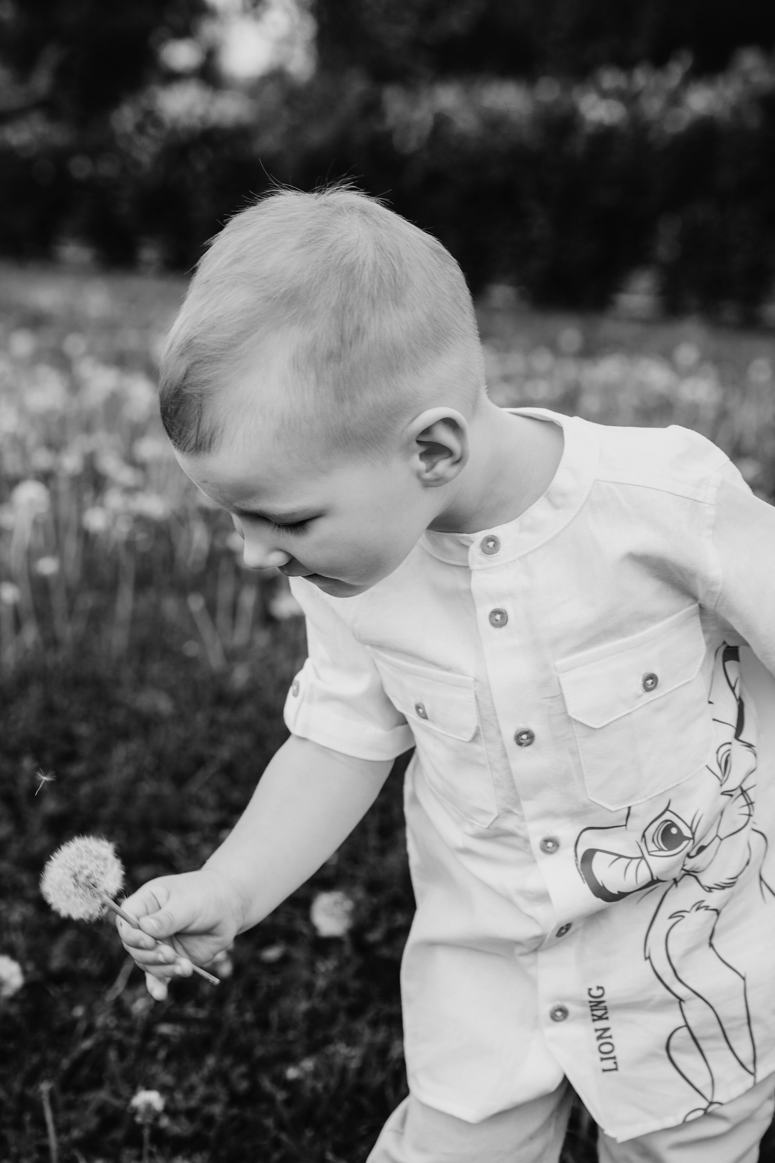 Семейная фотосессия | Яблоневый сад. Фотограф Диана Катинская